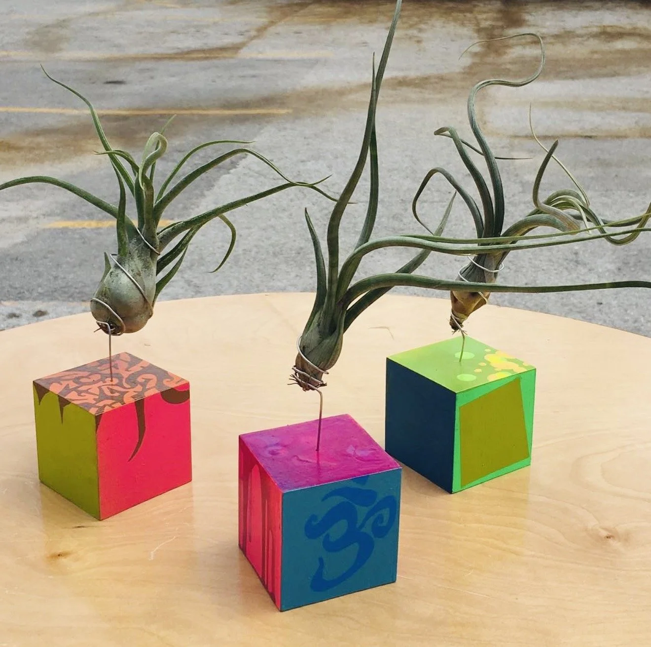 painted dry plant cubes 