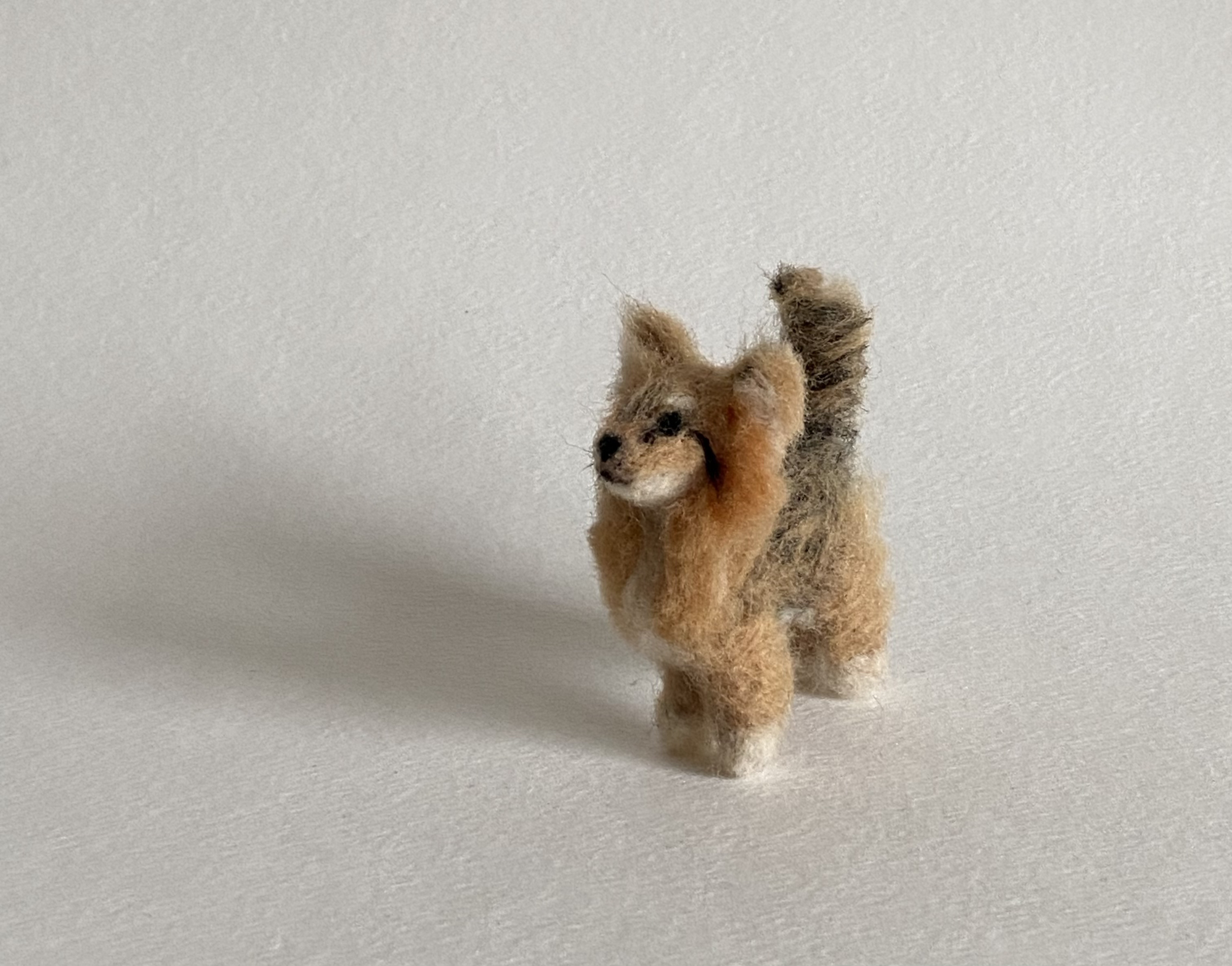 Felted Dog Foxy (Elise Illustrates).png