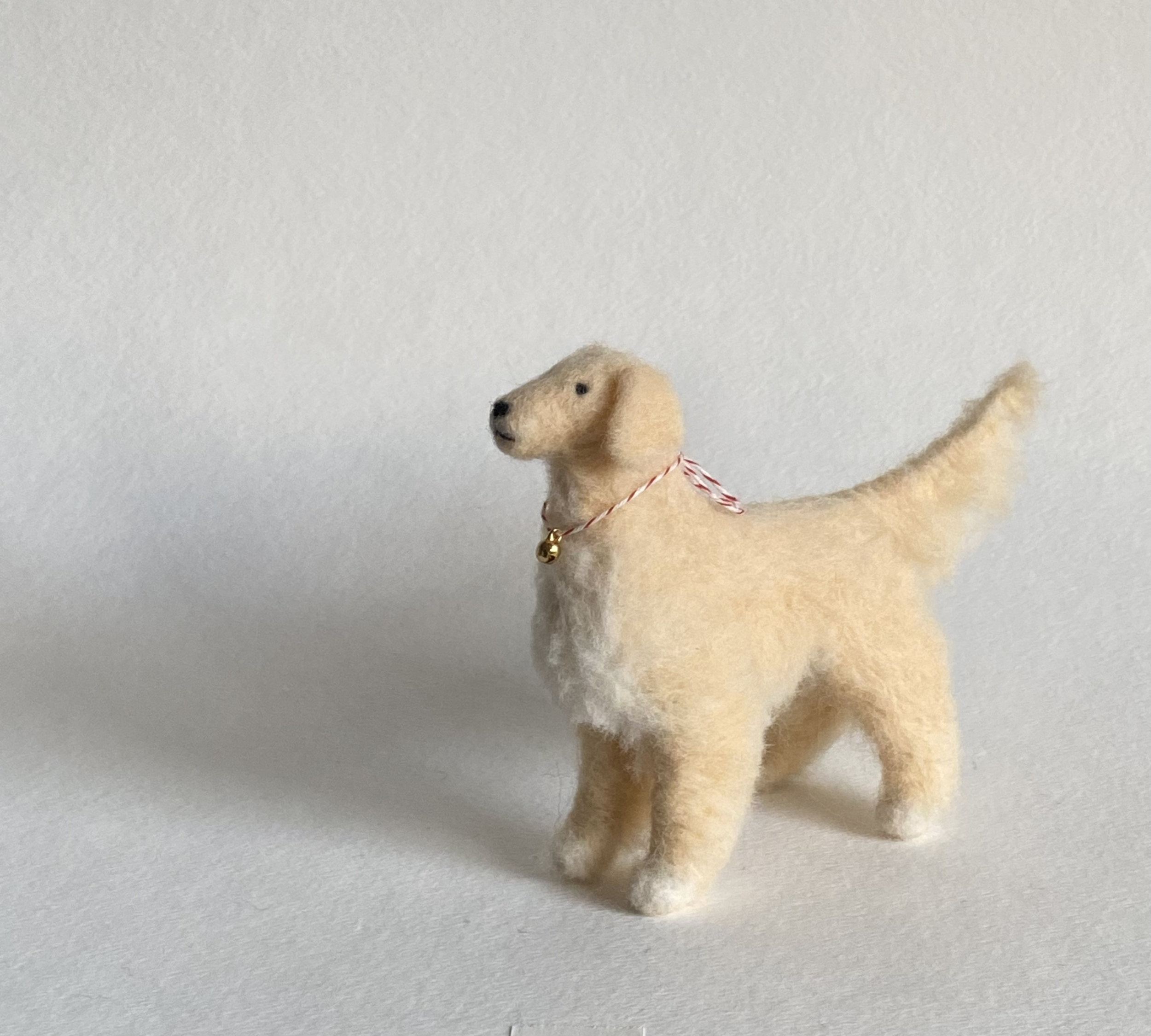 Felted Dog Forrest (Elise Illustrates).png