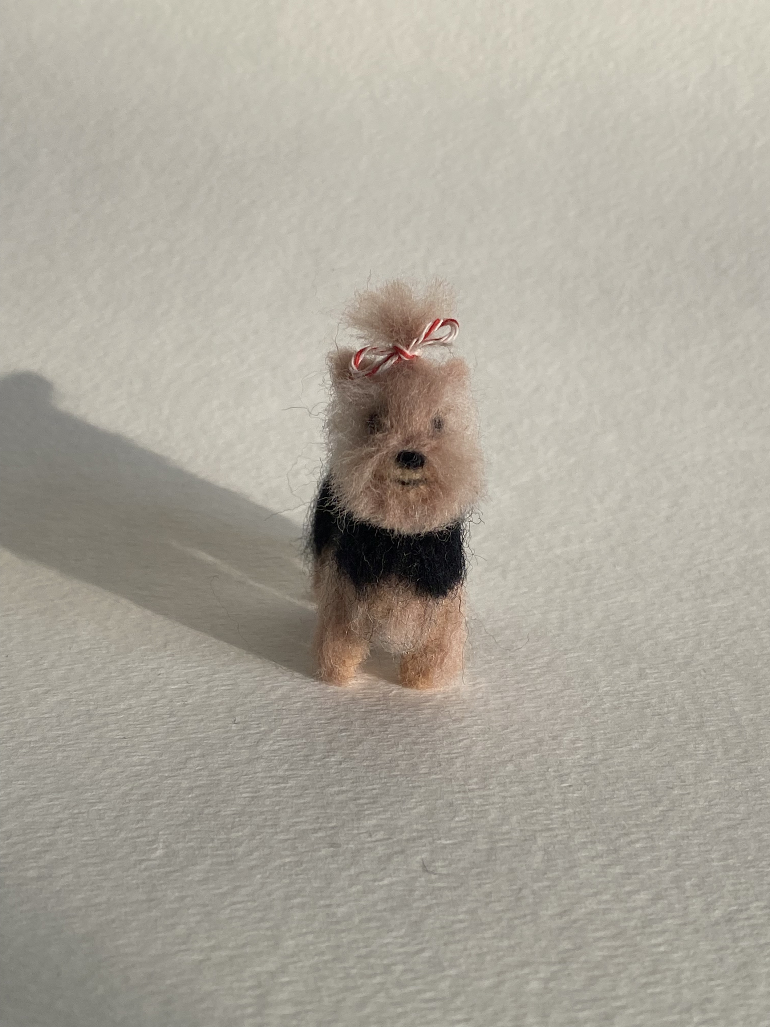 Felted Dog Coco closeup 2 (Elise Illustrates).png