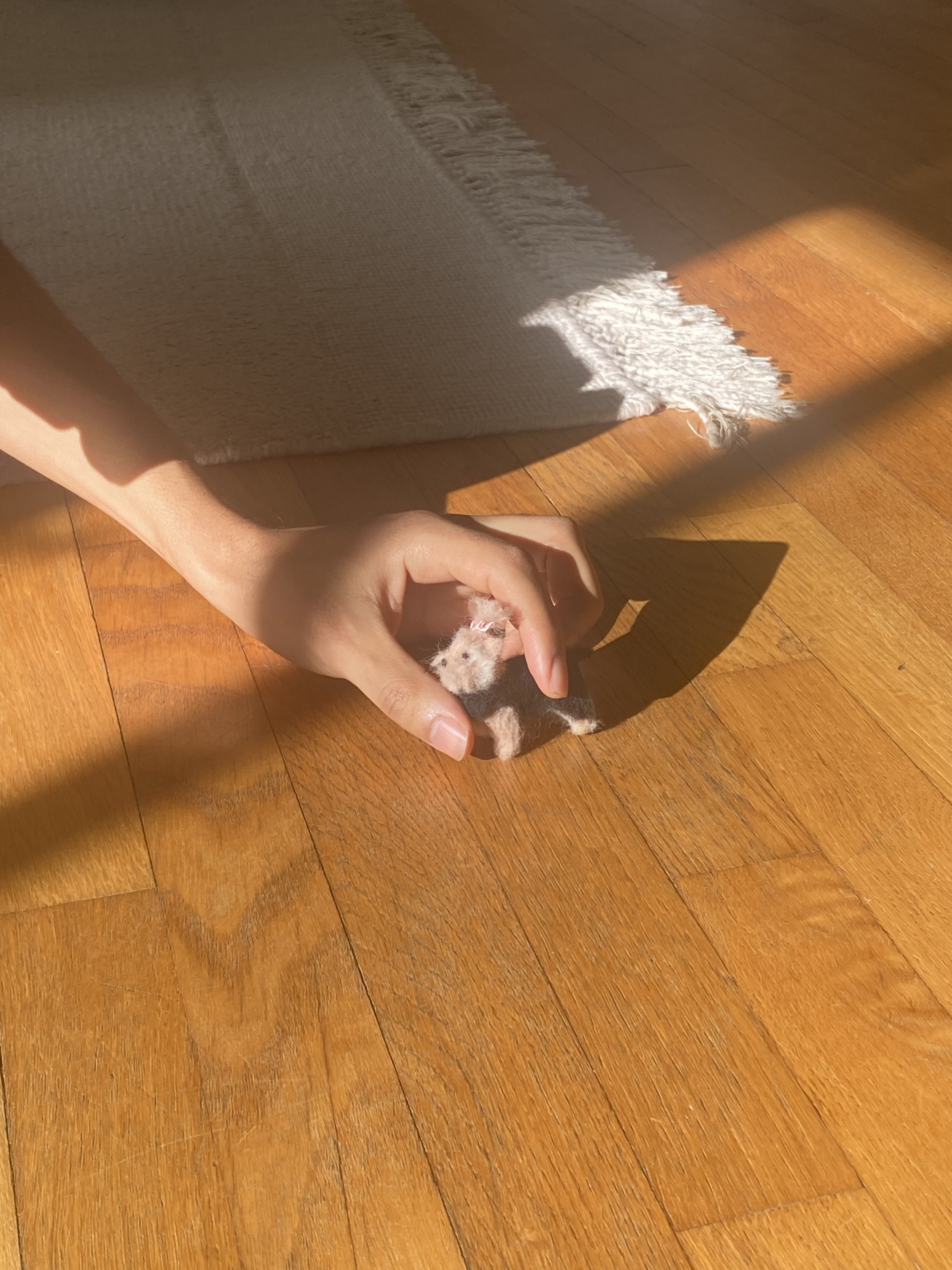 Felted Dog Coco closeup (Elise Illustrates).png