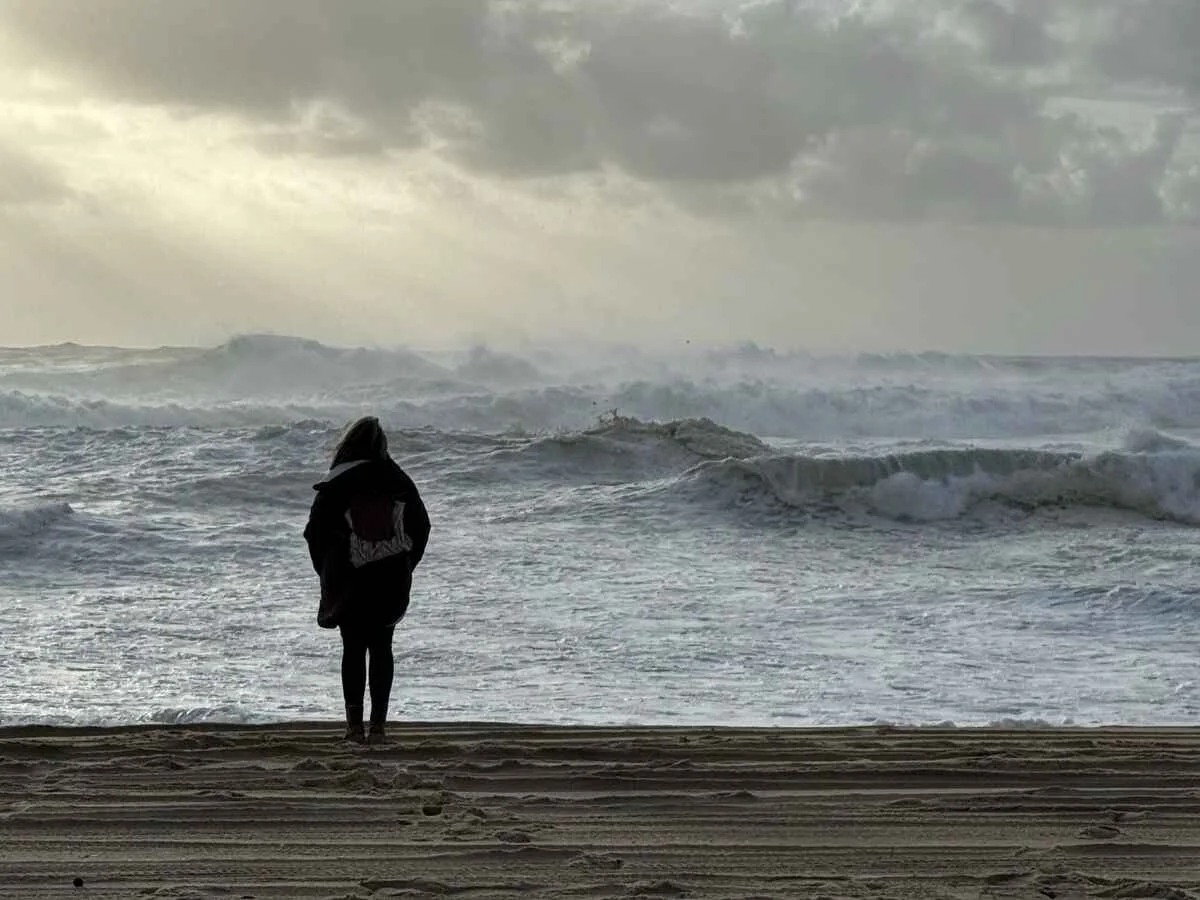Emotions Are Like Waves - Part 2