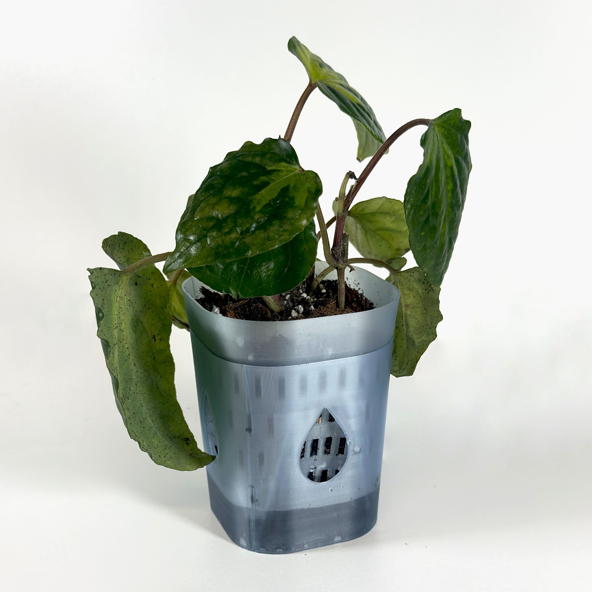 3" AIRO Planter