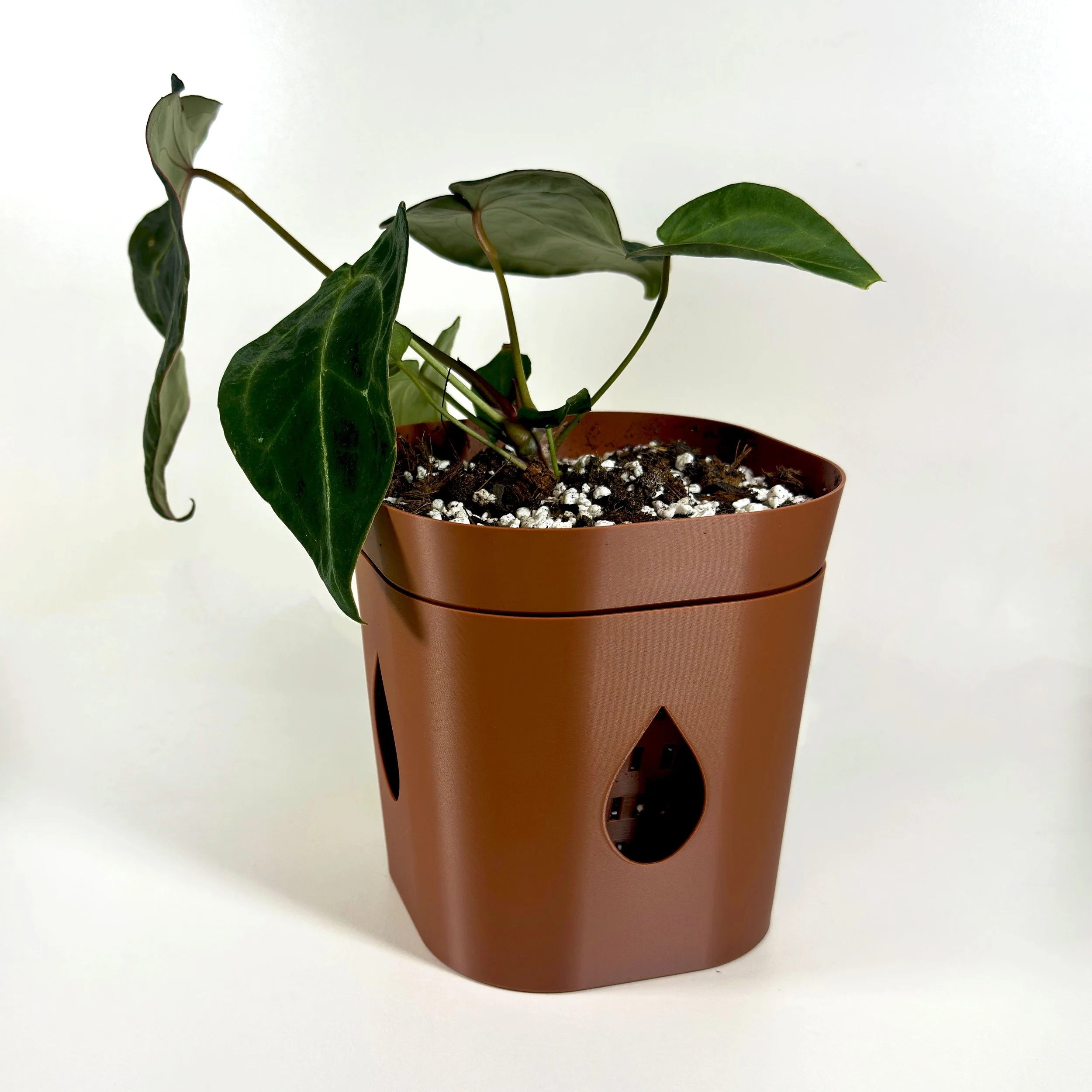 5" AIRO Planter