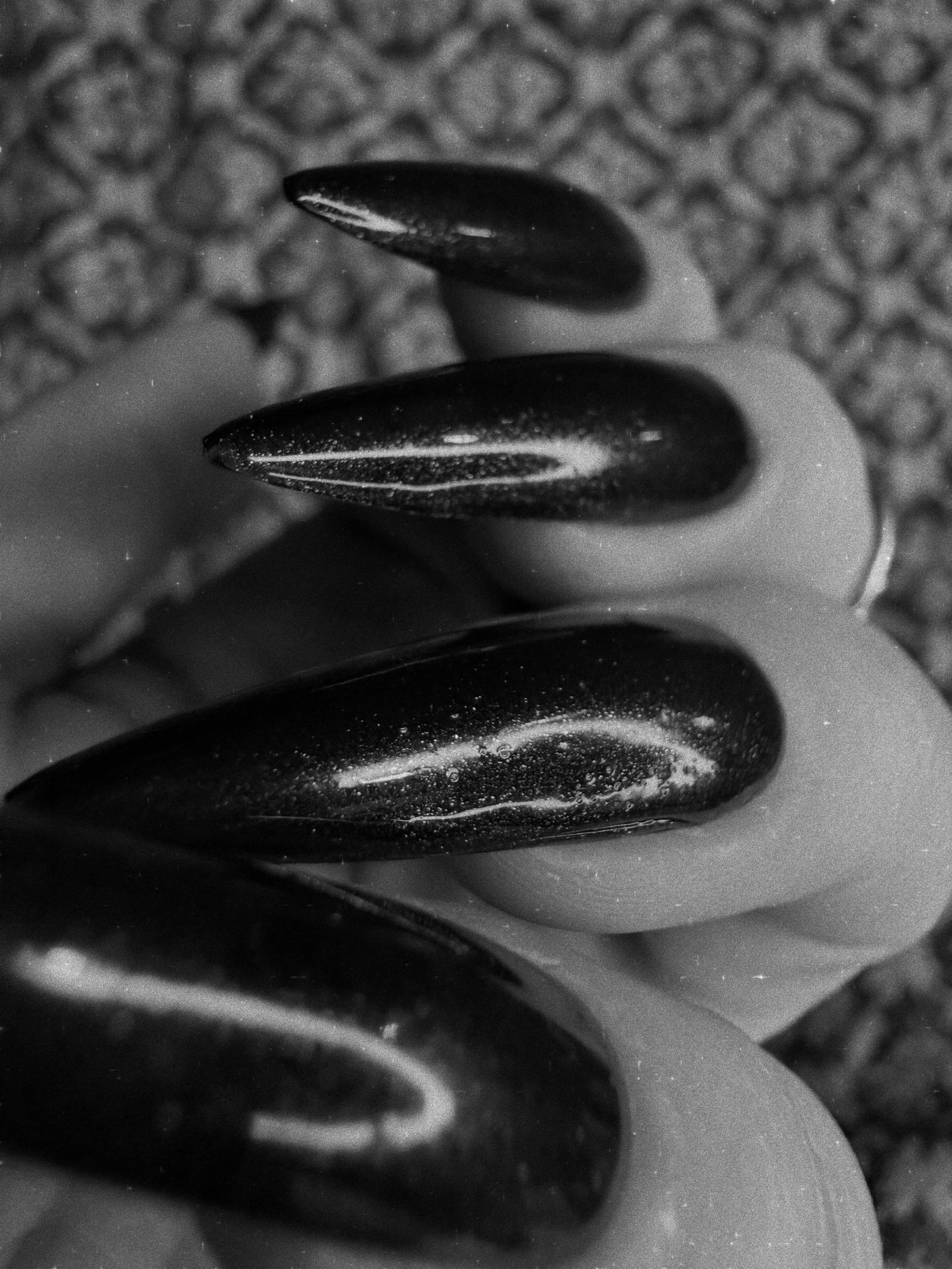 Black and White Image of Nails | Boldly Nail Polish