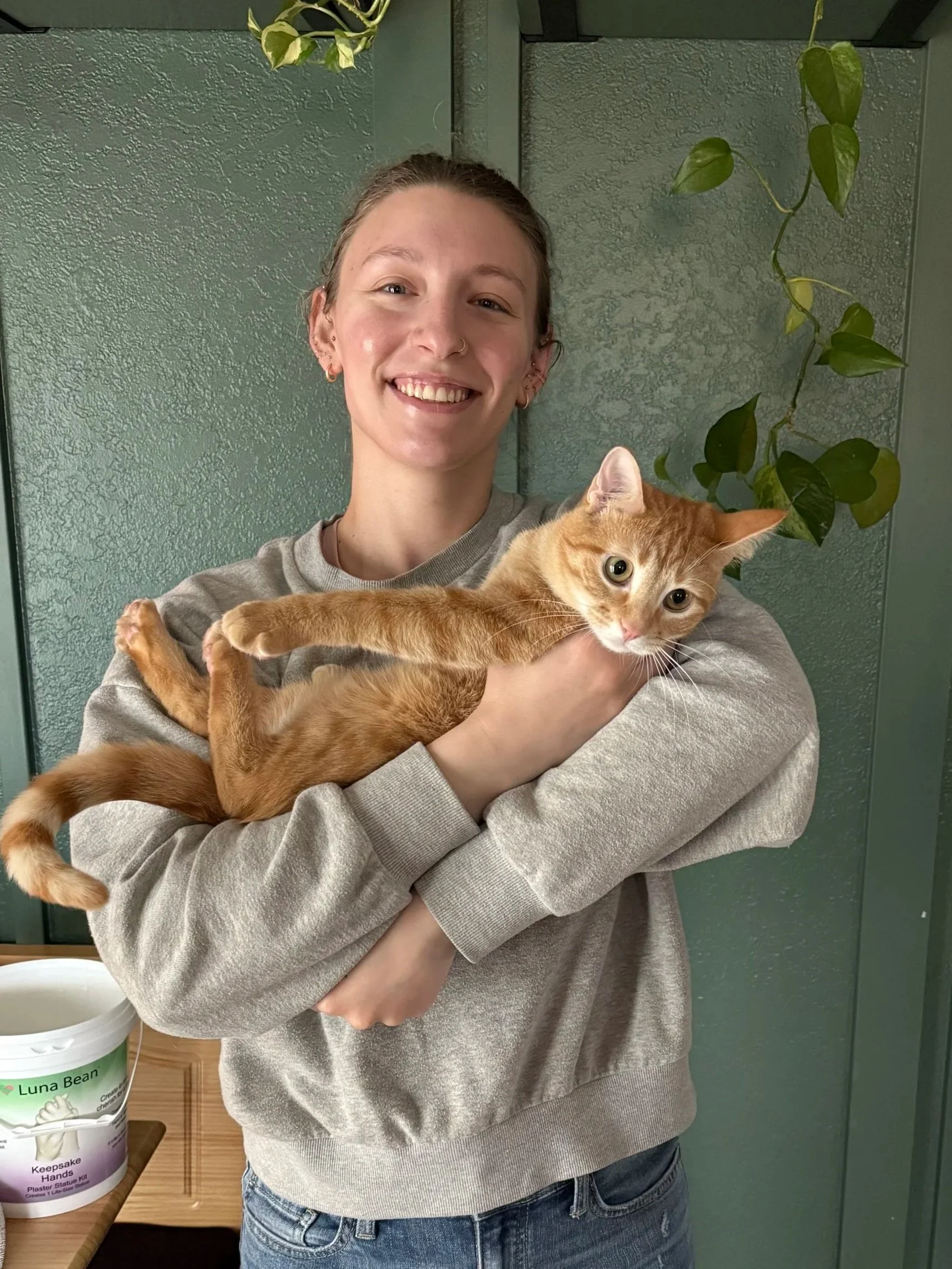 Person with light skin, wearing a gray sweatshirt and jeans, holding an orange tabby cat with white markings, standing in front of a green textured wall and a potted plant with heart-shaped leaves.