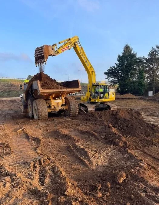 Limpieza y Nivelación de Terrenos