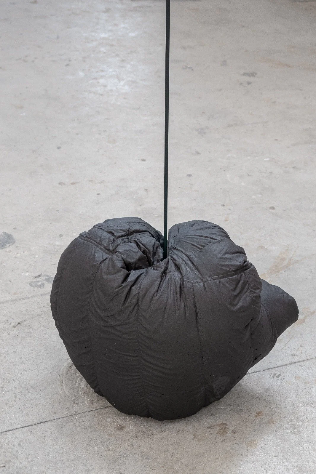 d2ba1e6f-6b91-4476-8f29-5e8af3523216.jfif