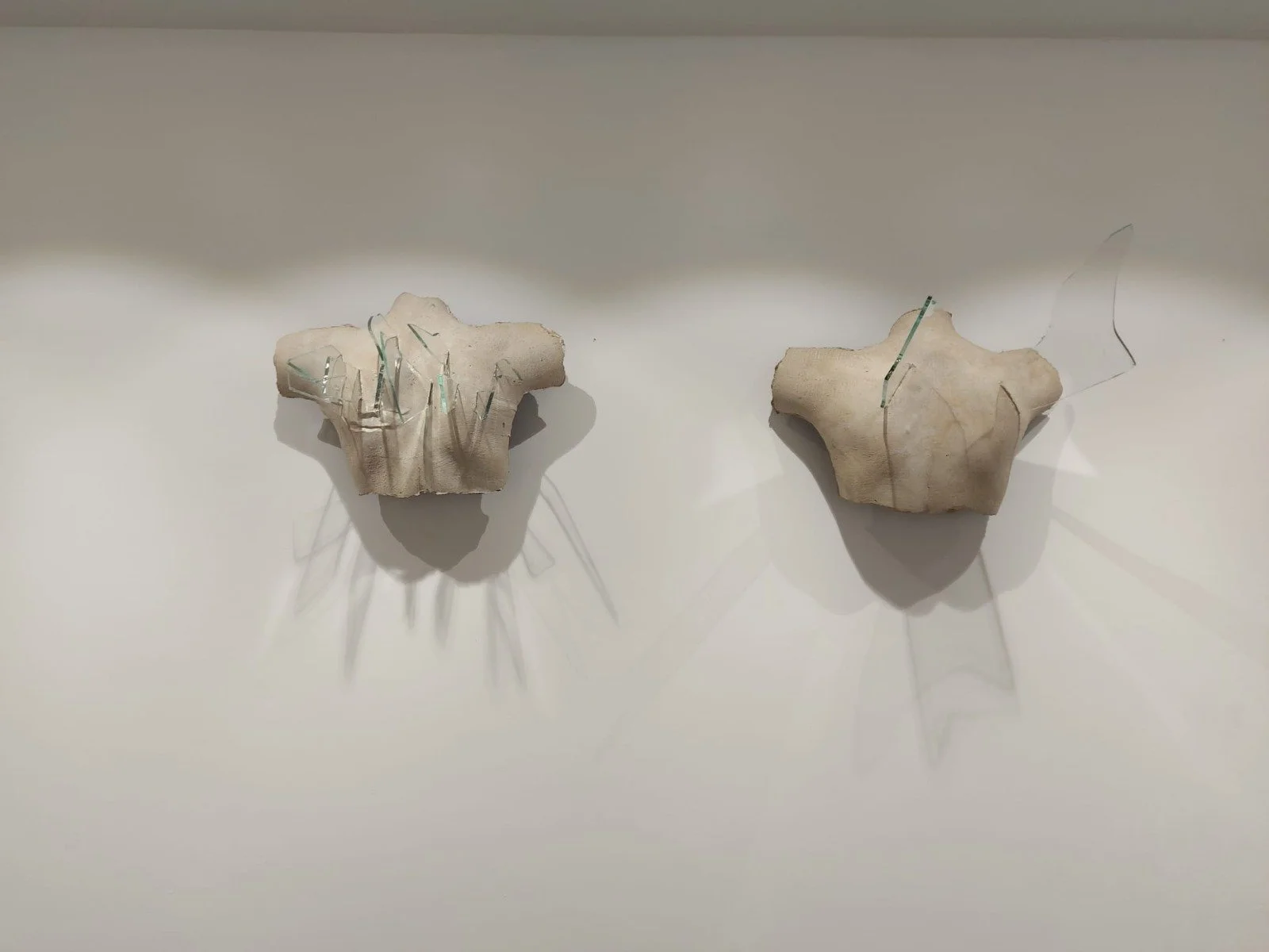 a2e0b4c0-6635-43df-839c-892ab2ad6a27.jfif