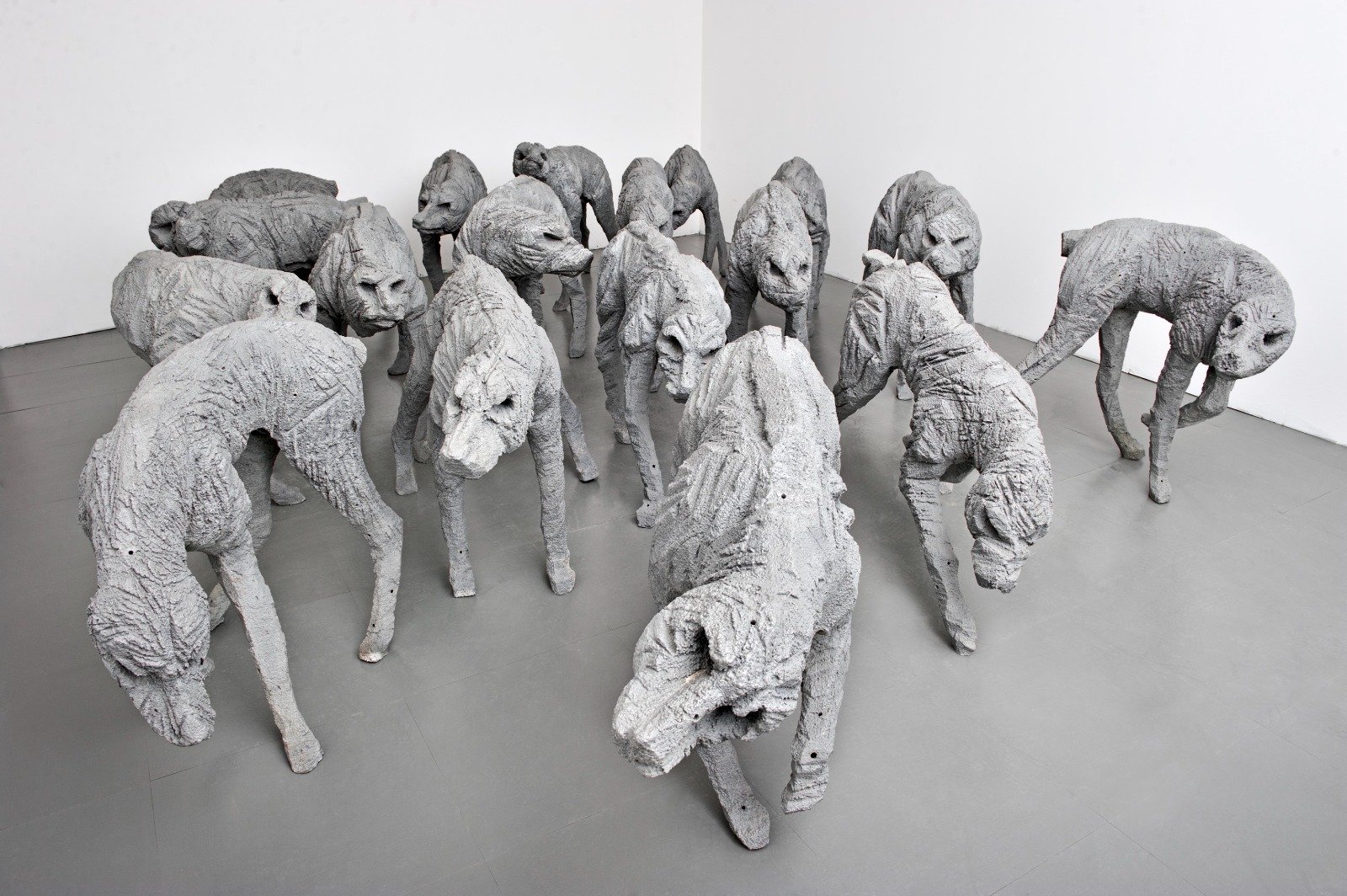 85ab7e9b-b776-4a39-bb28-bcca16e8e124.jfif