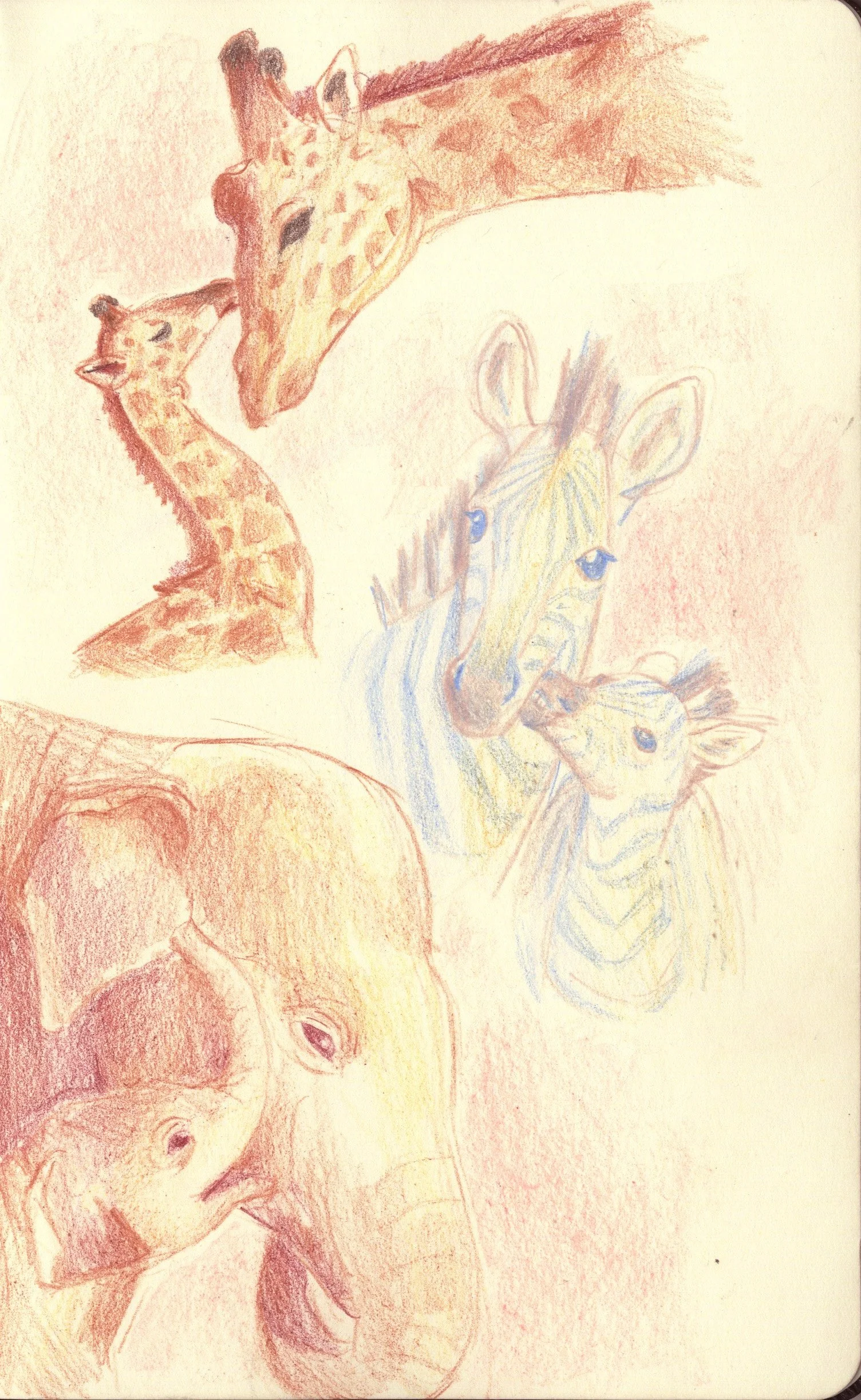 animal family nerw.jpg