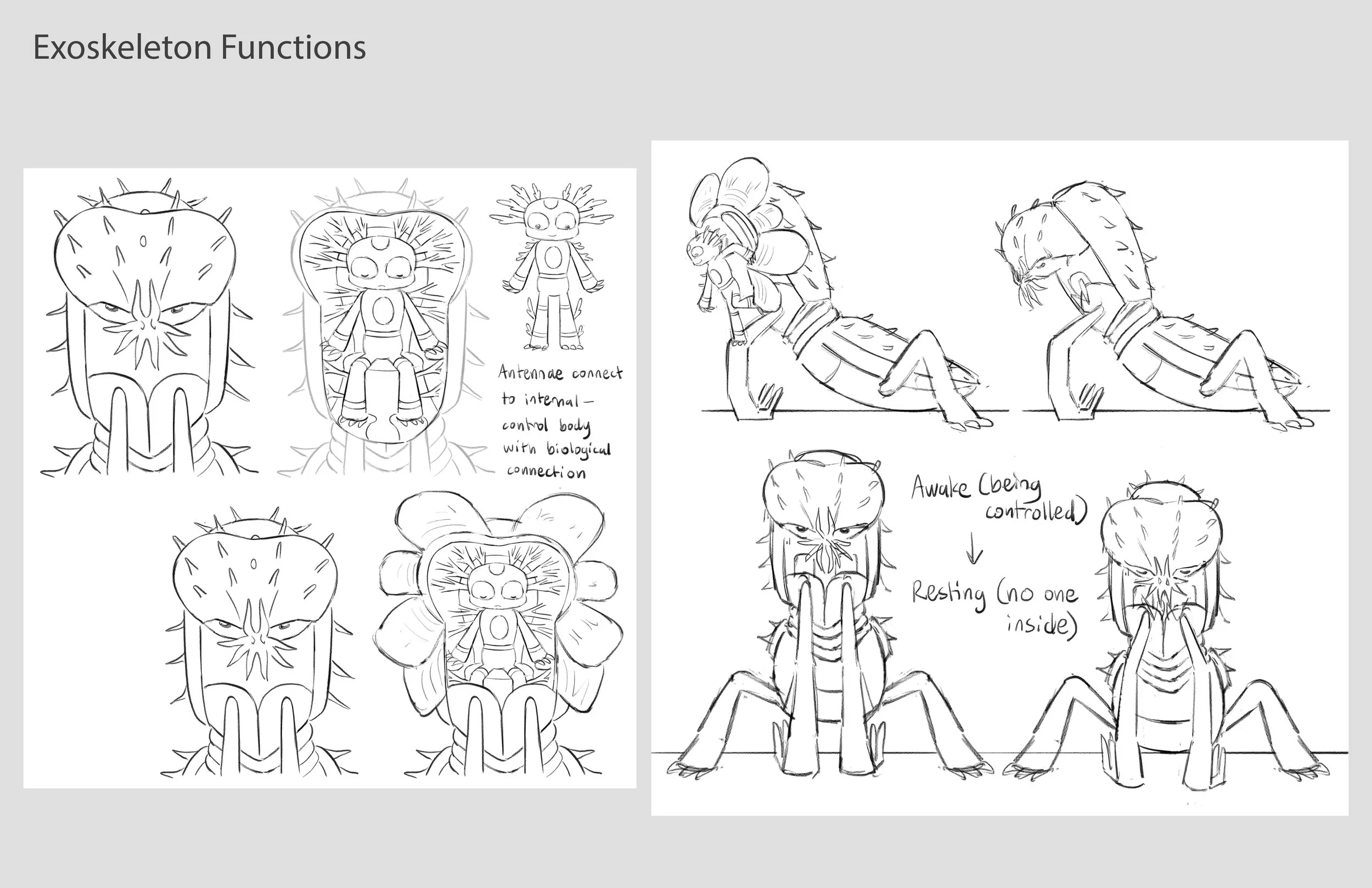 7- Exoskeleton Functions copy.jpg