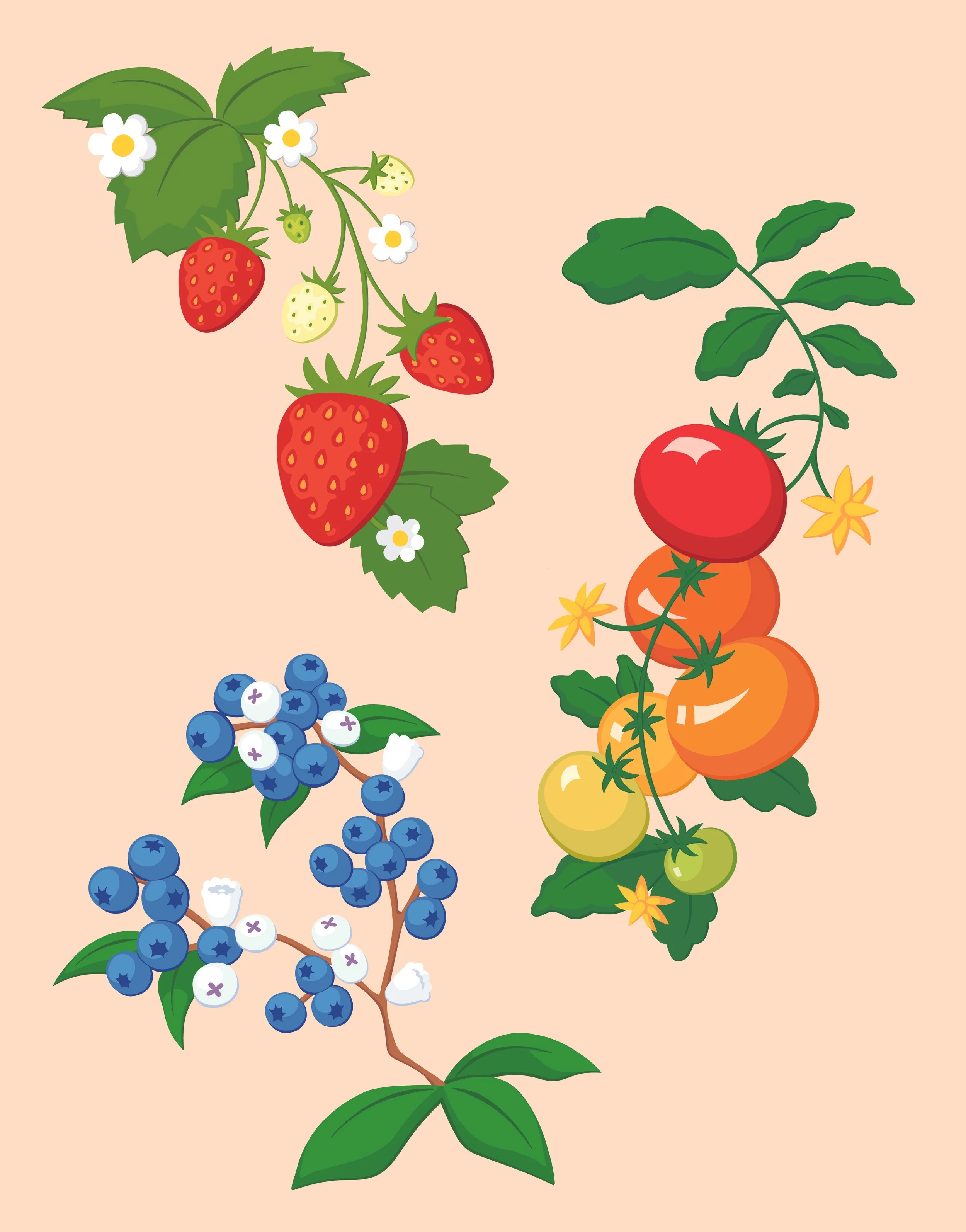 3 icons REVISED copy.jpg