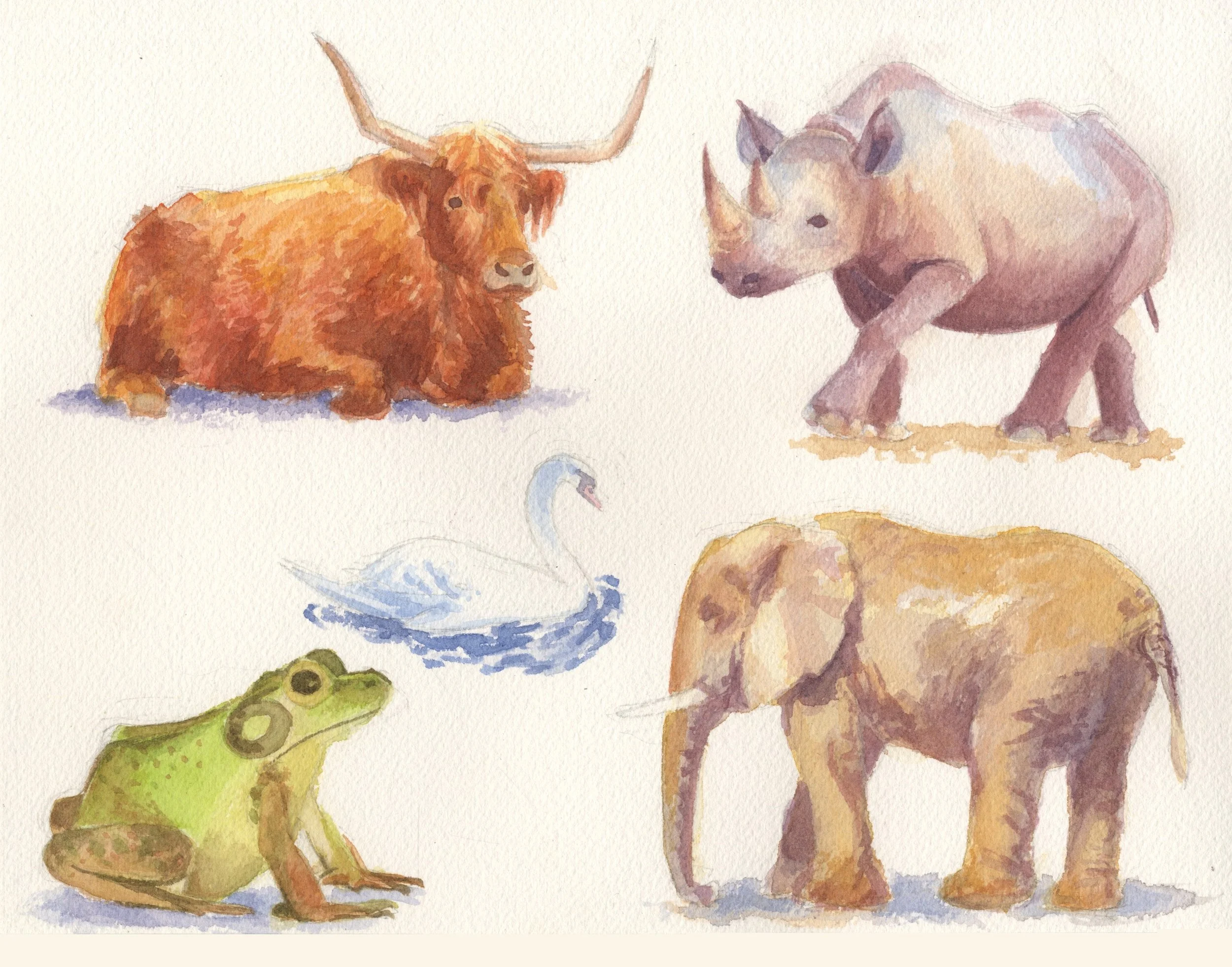 animal scan- unused.jpg