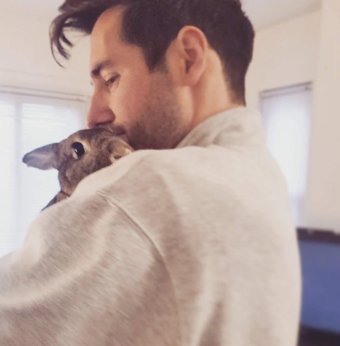 Accompagnement sur-mesure avec les animaux (individuel)