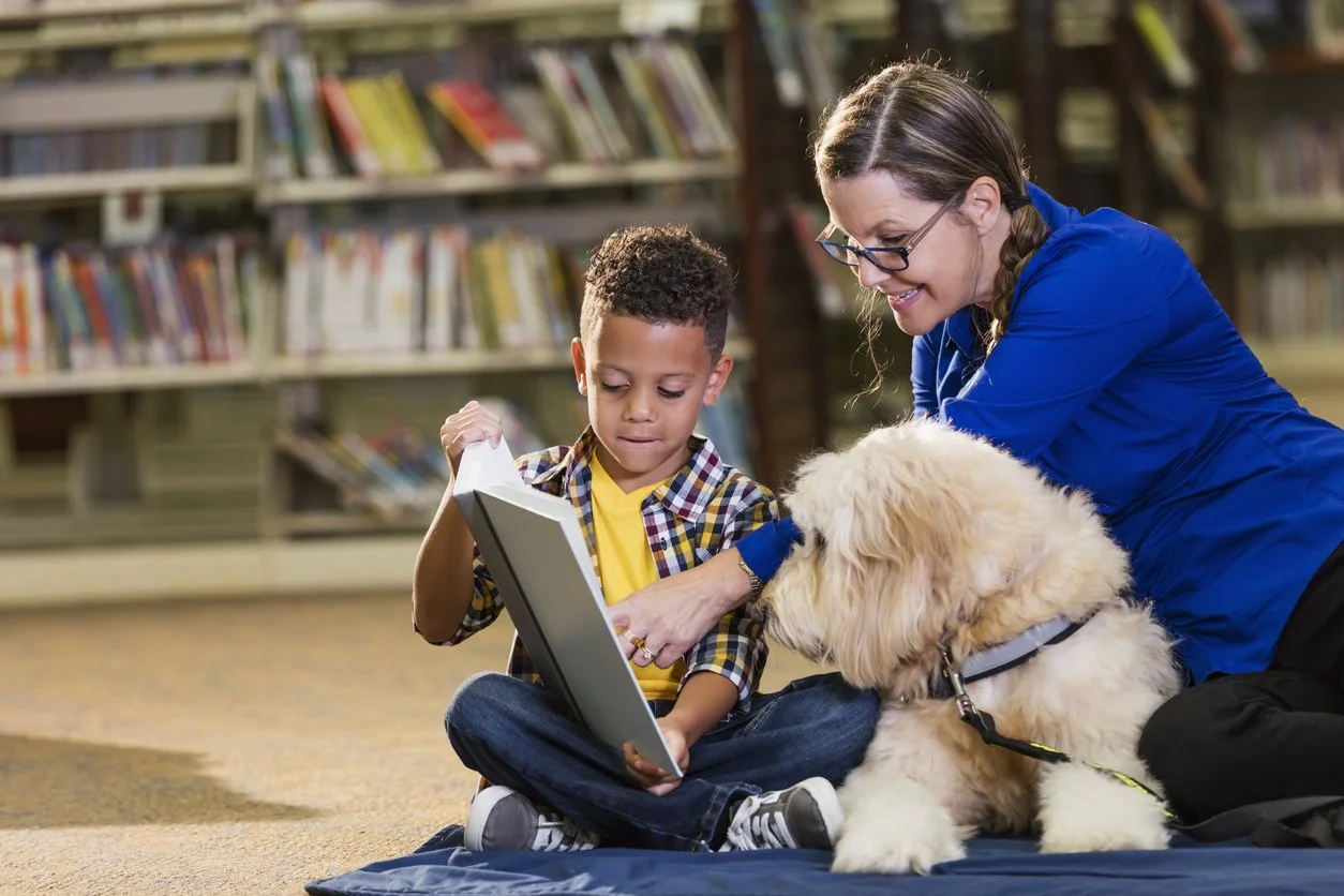 Apprendre avec les animaux : médiation animale et TND
