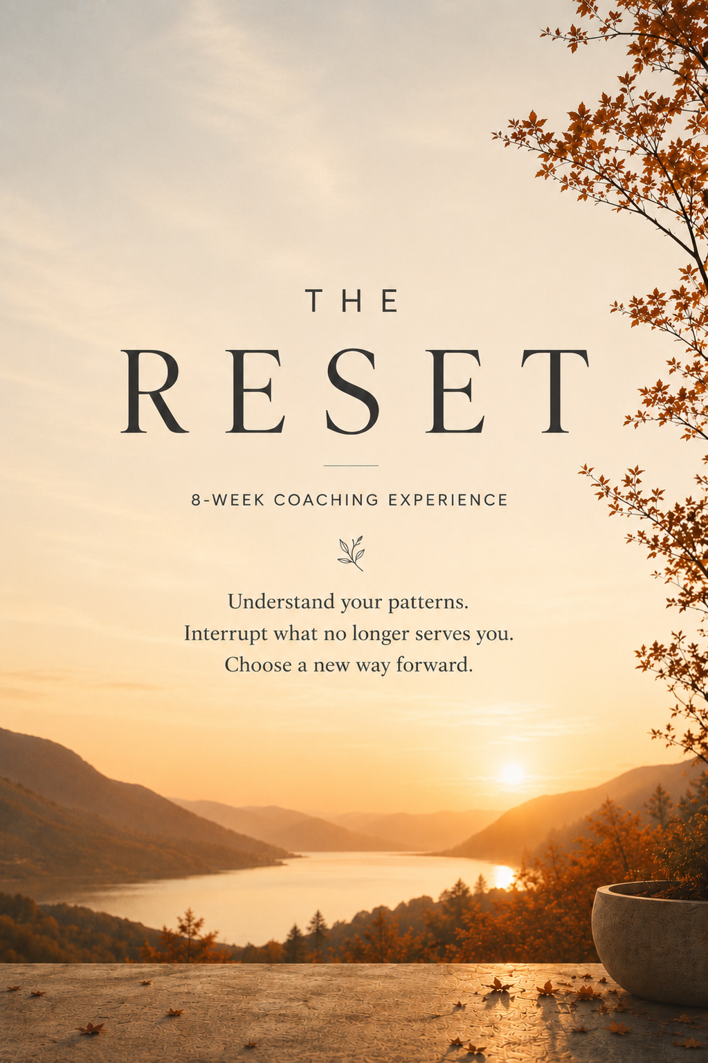 The Reset