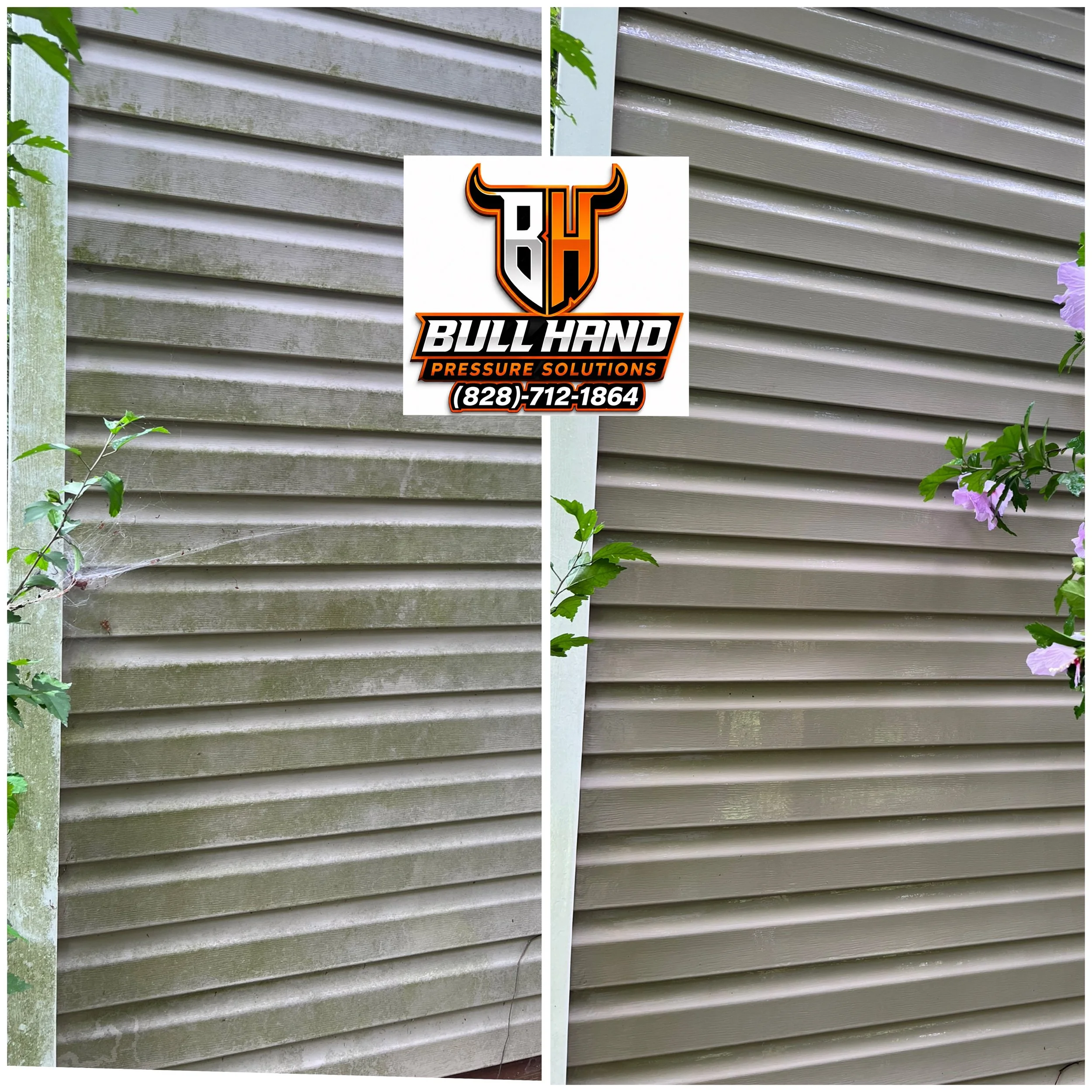 Side-by-side comparison of wooden house siding before and after cleaning or staining. The left shows weathered, dirty siding with greenish moss or algae, and the right shows clean, freshly painted or stained siding. There are plants and flowers parti
