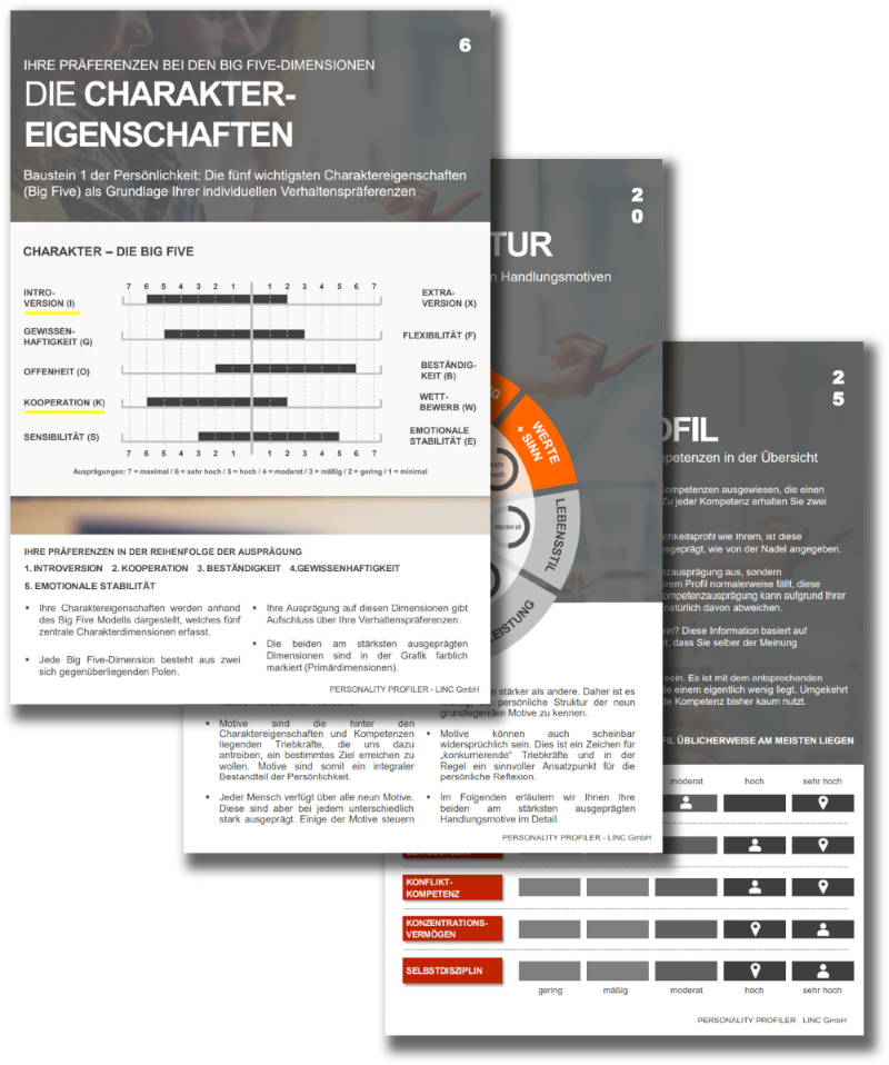 Linc Personality Profiler Ansicht