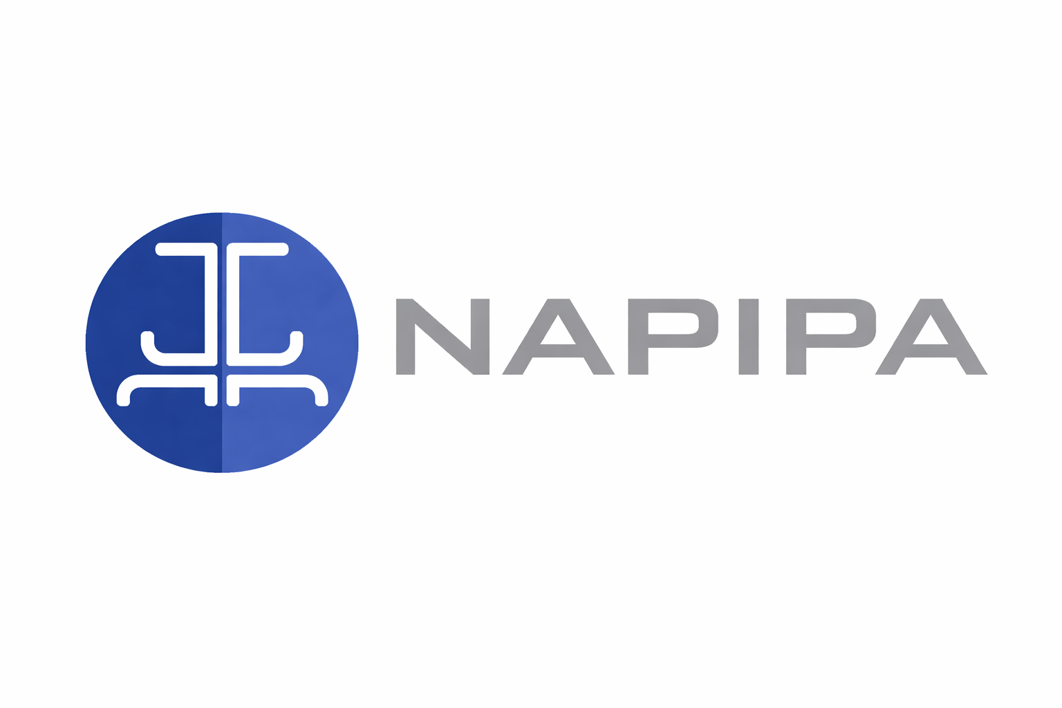 Logo of NAPIPA with a blue circular emblem and gray text to the right.