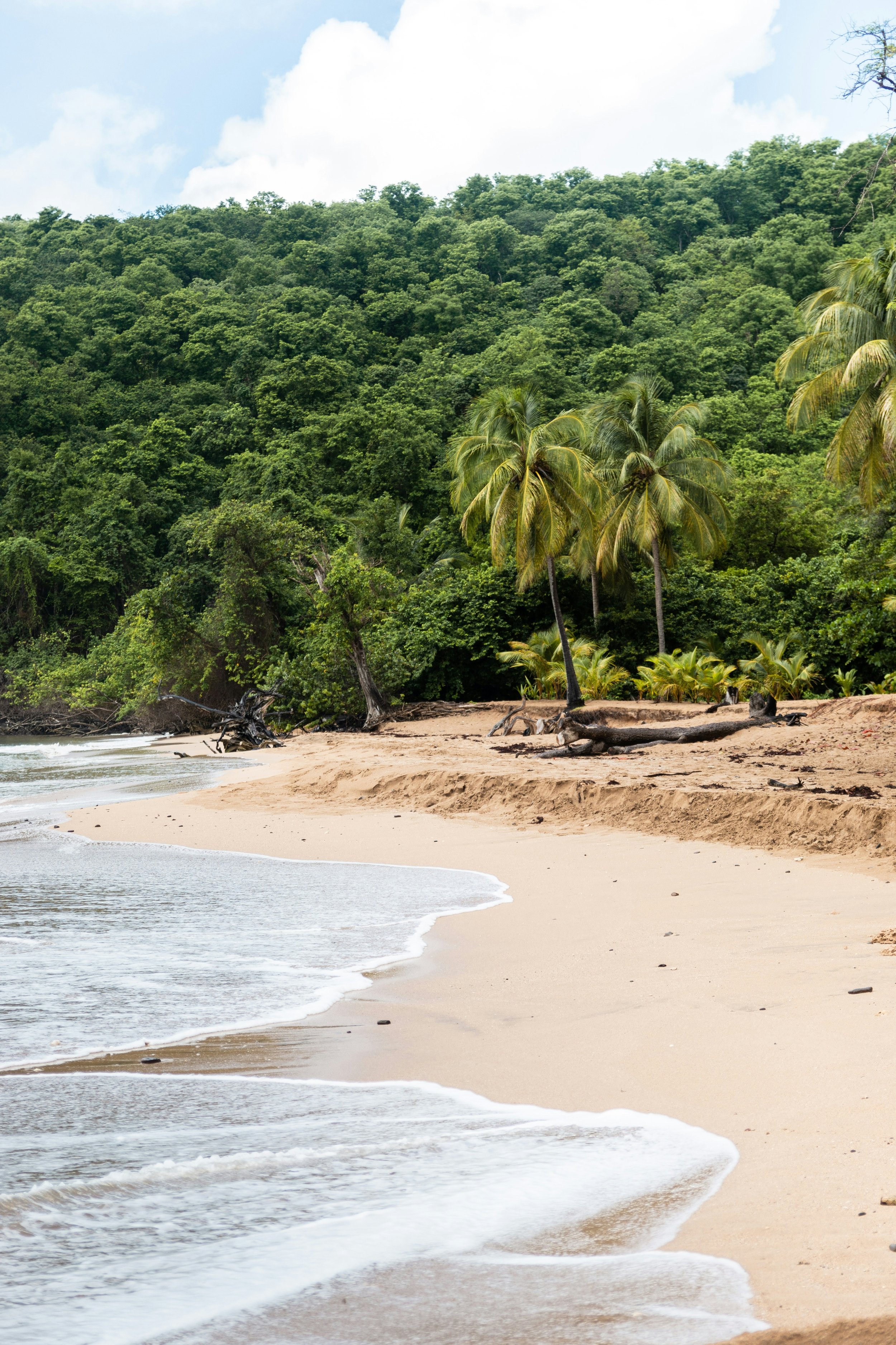 Villa les Gallières - Magnifique plage de sable blanc avec forêt tropical en arrière plan