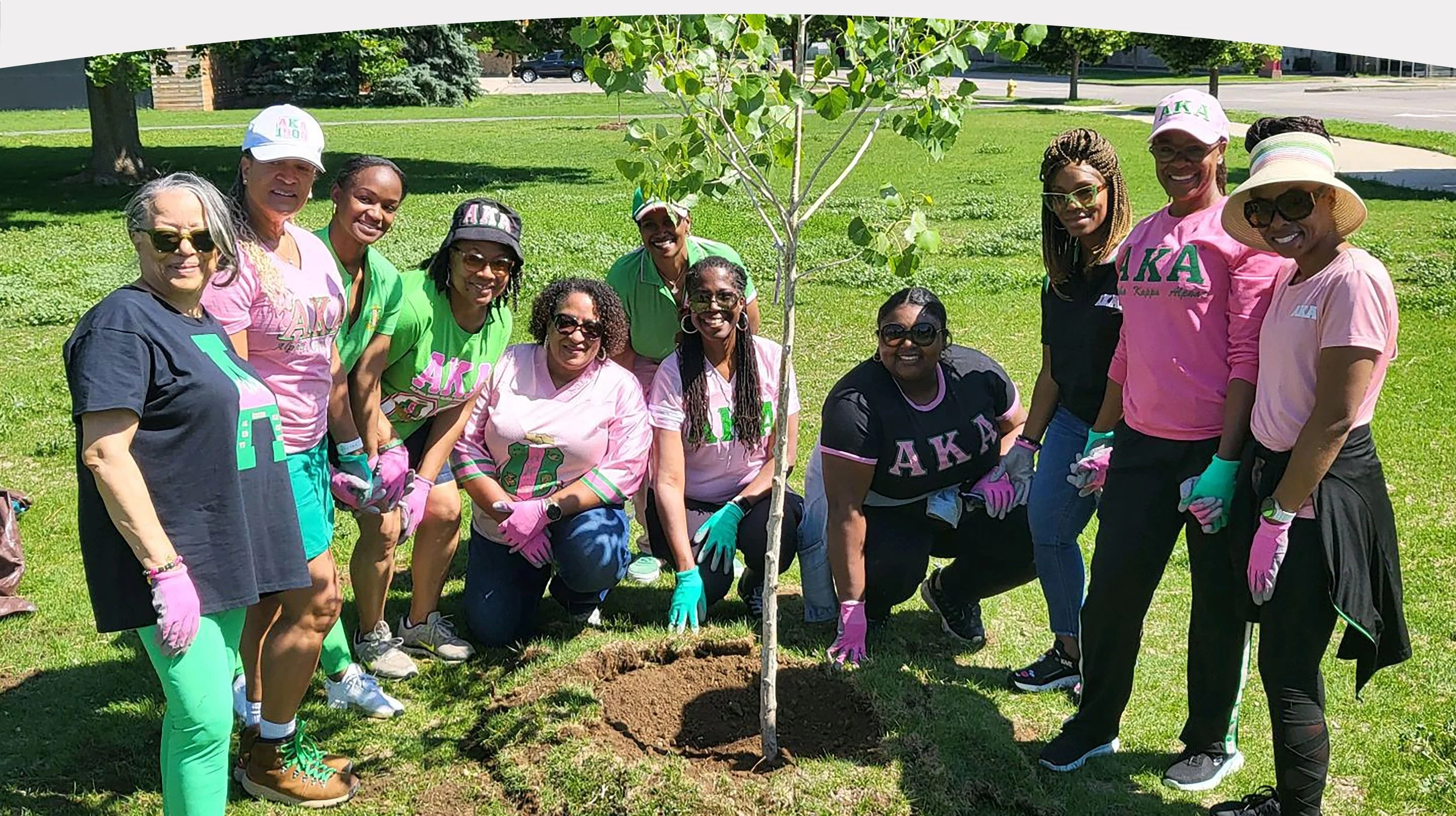 Tree Planting Initiative 