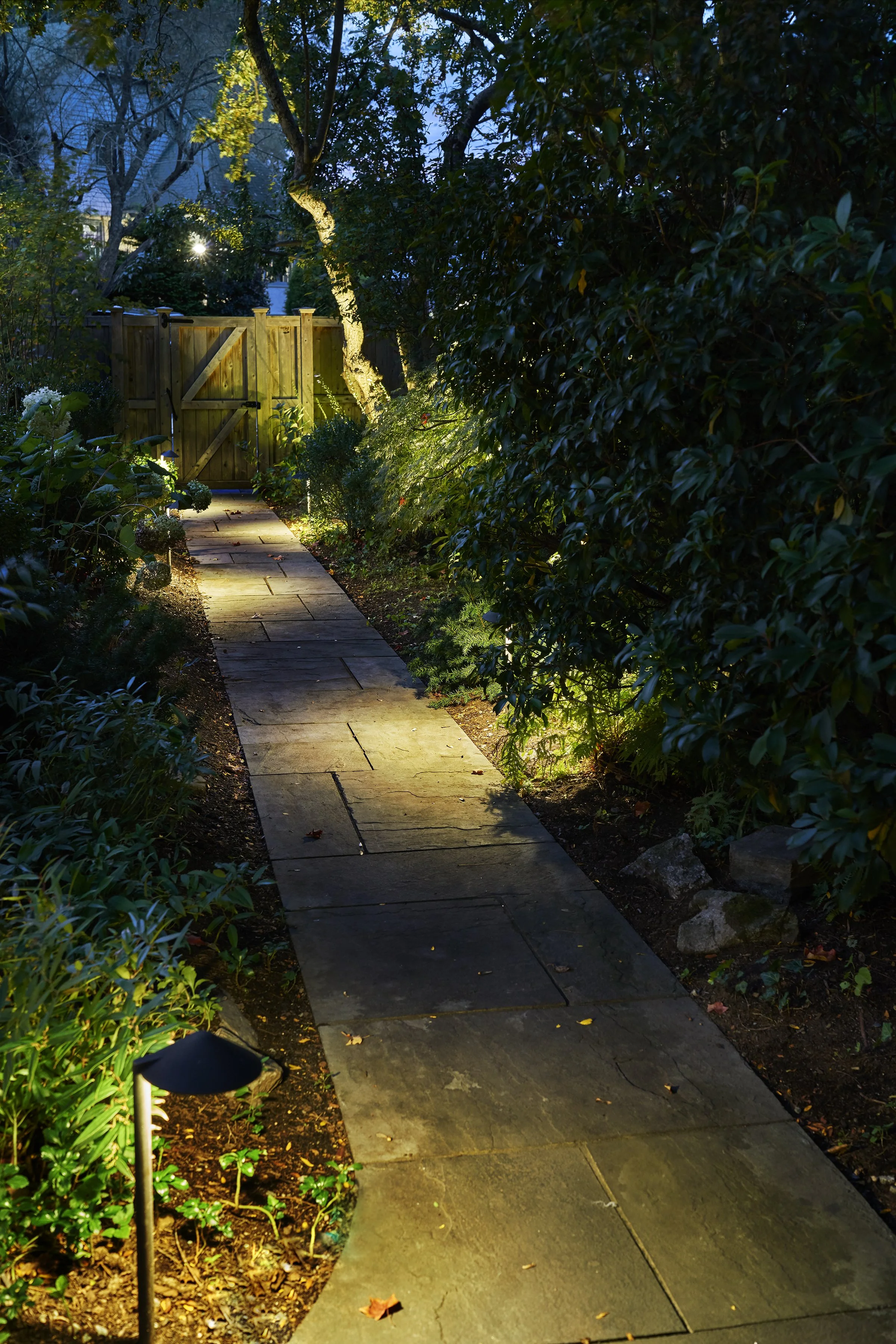 Front yard pathway illuminated by warm low voltage path lights.