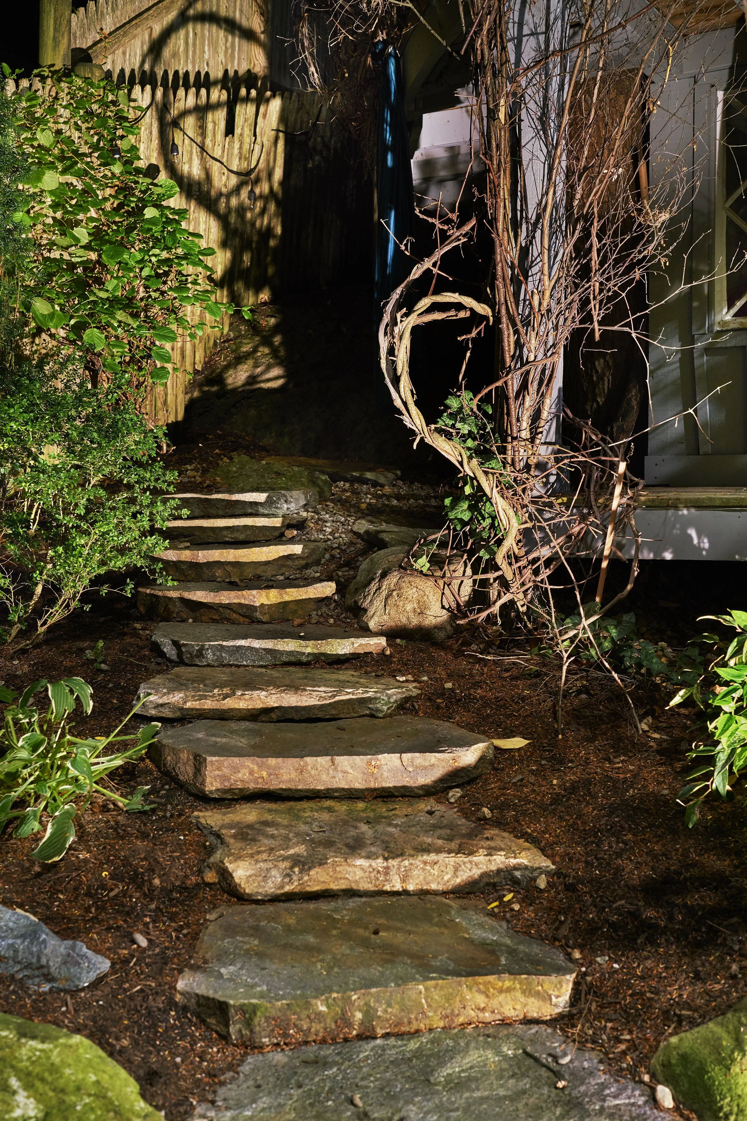 Stone pathway leading uphill next to a house, with plants and vines on the side, and a shadow of a tree cast on a wooden fence.