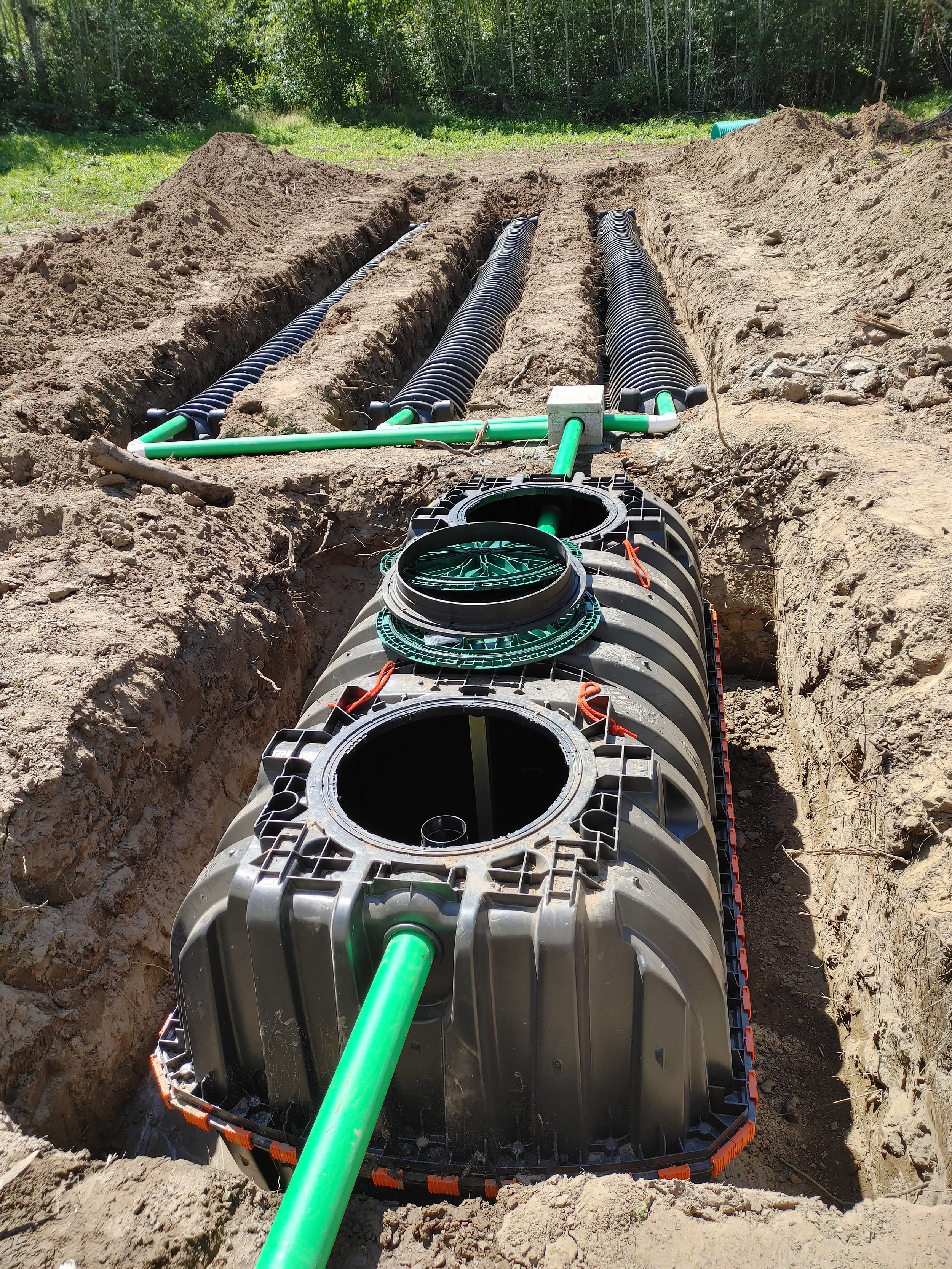 How Does the Septic Process Work in Lewis County, Washington?