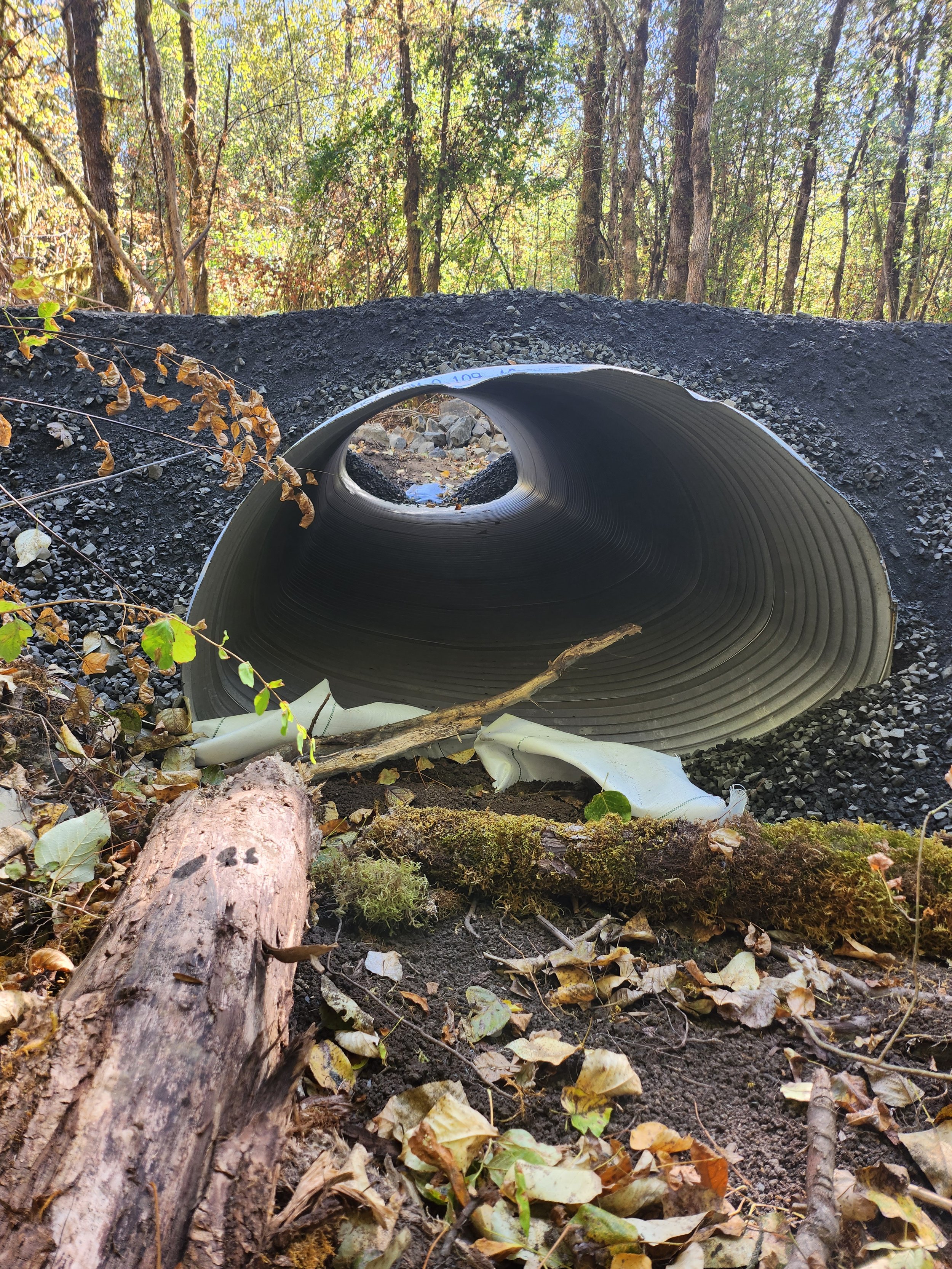 Construction Stormwater in Washington: What Property Owners and Contractors Need to Know