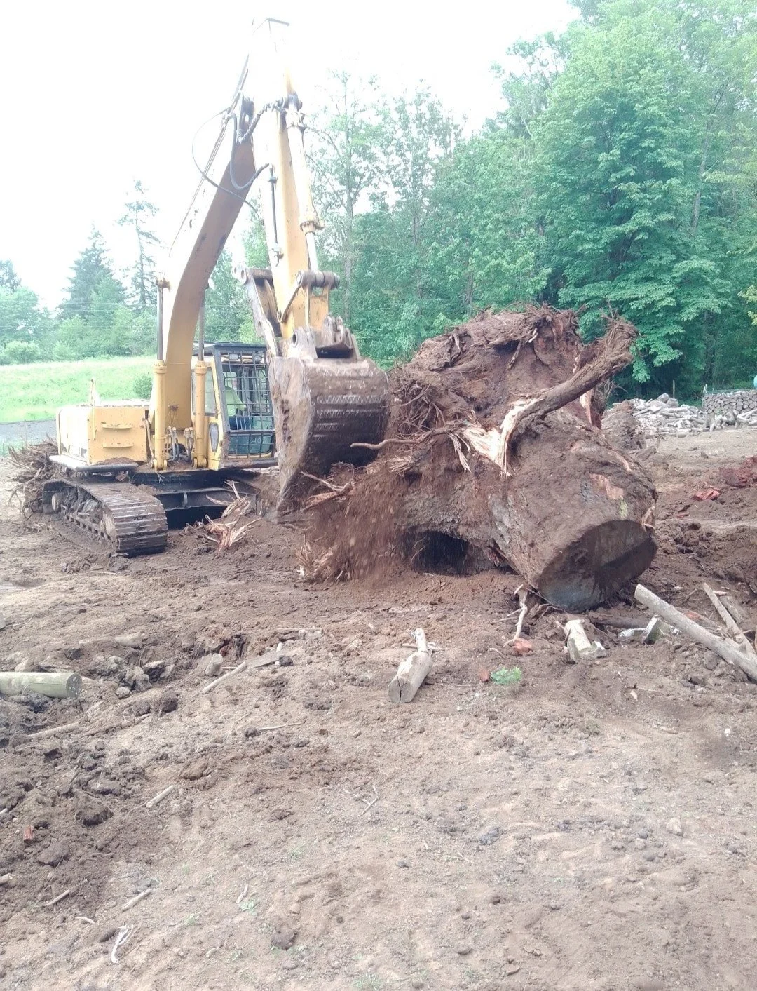 Excavation and Site Development in Toledo, WA