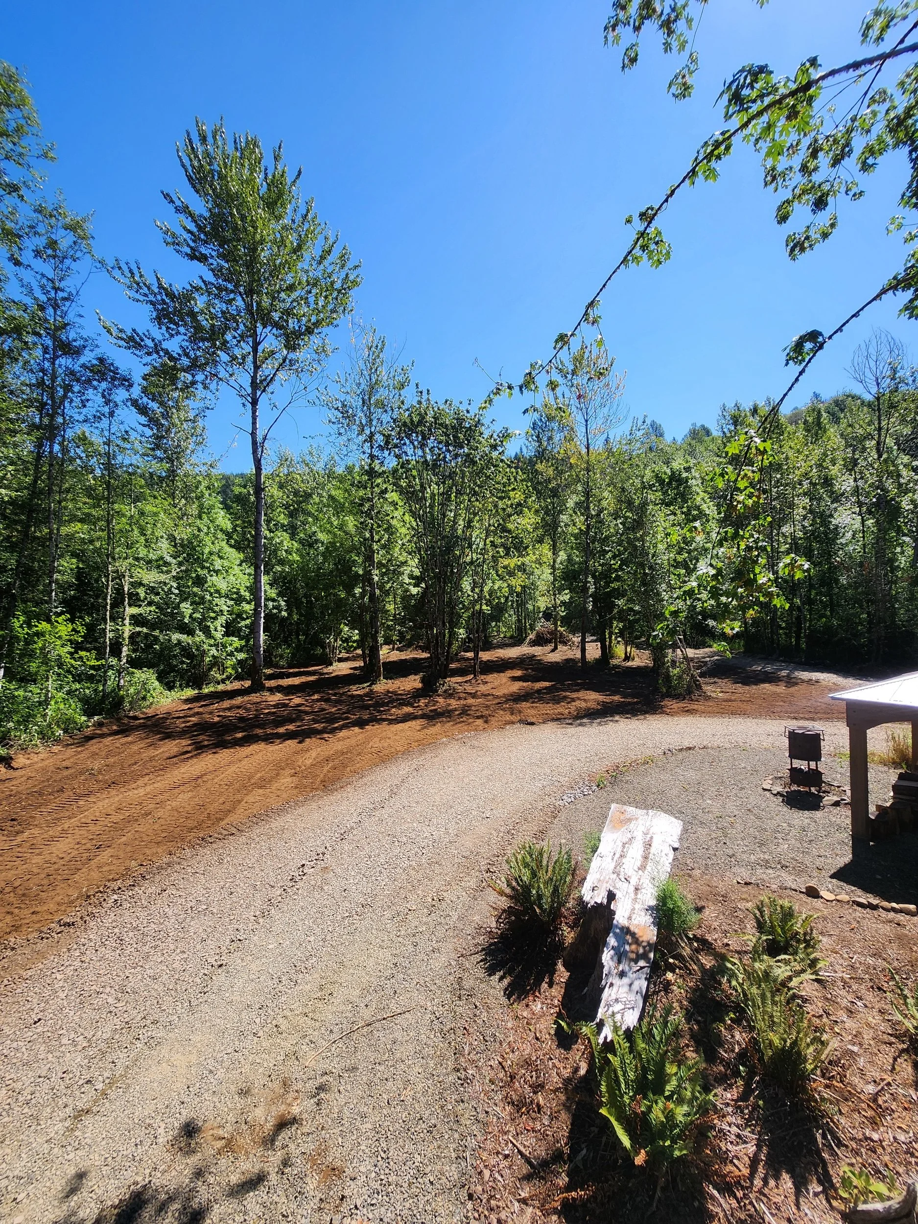 Clearing & grading Mossyrock, WA