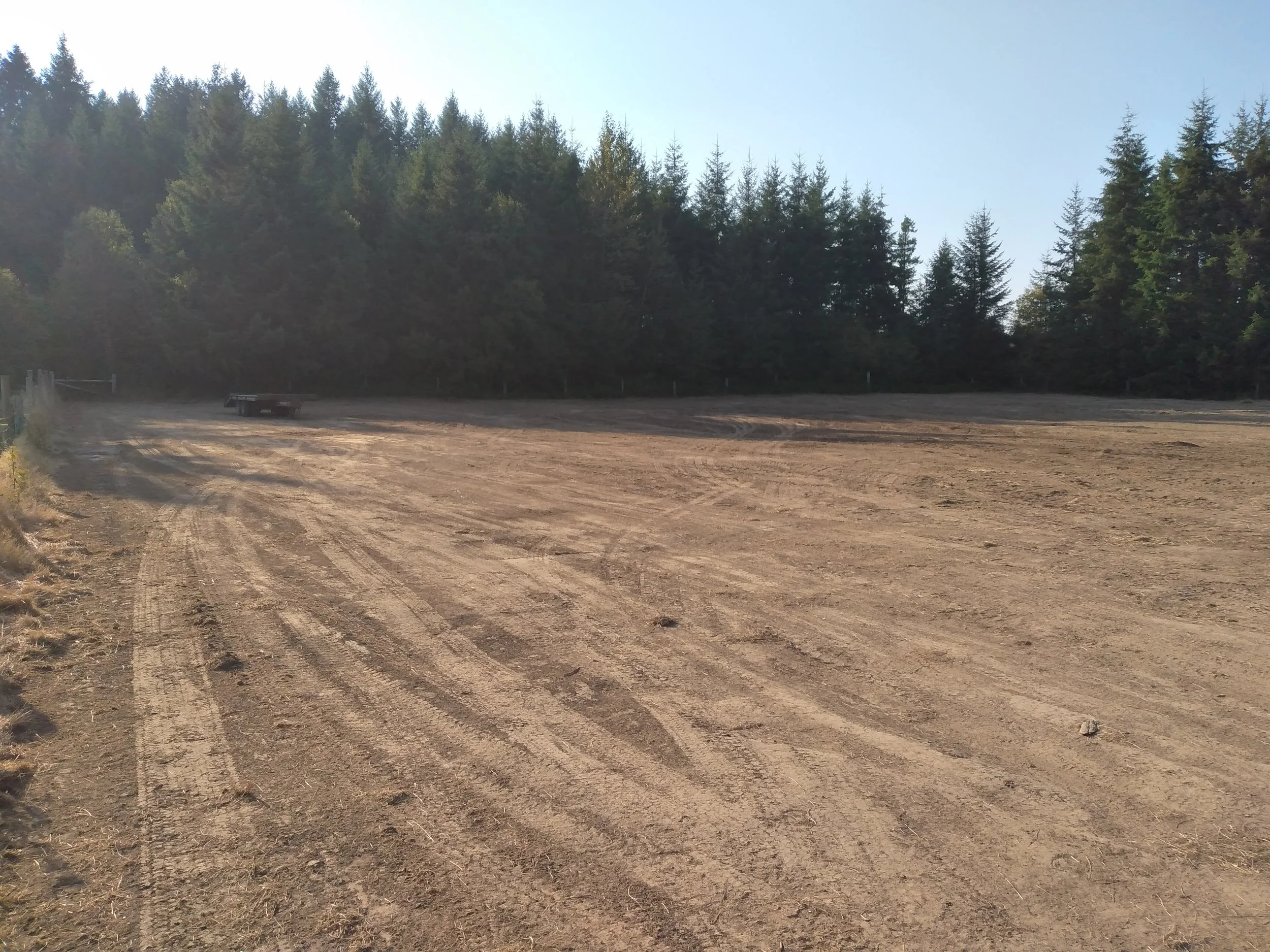 Empty dirt lot with tire tracks, bordered by a line of trees under a clear sky.