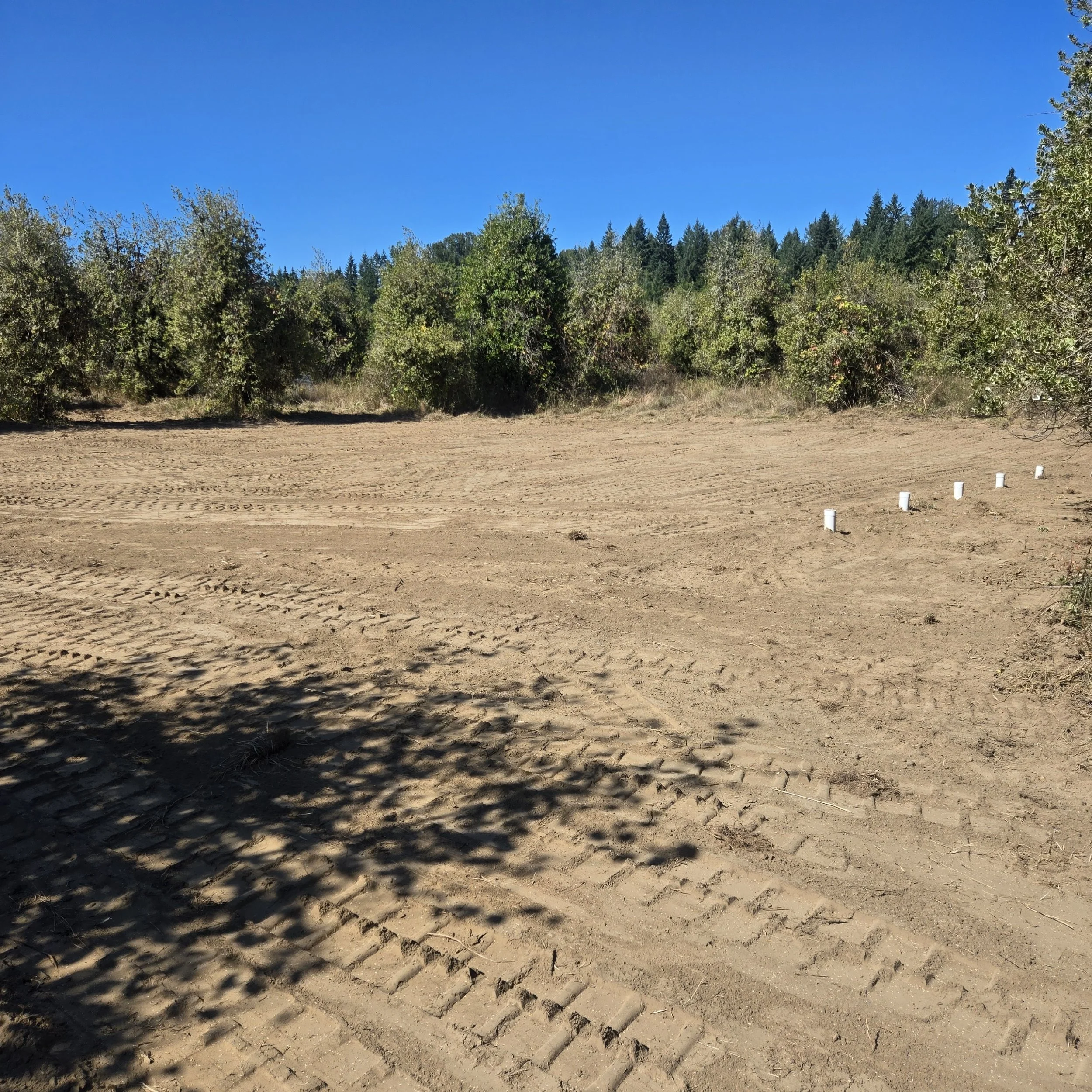 Finished, graded site: completed septic system install Winlock WA