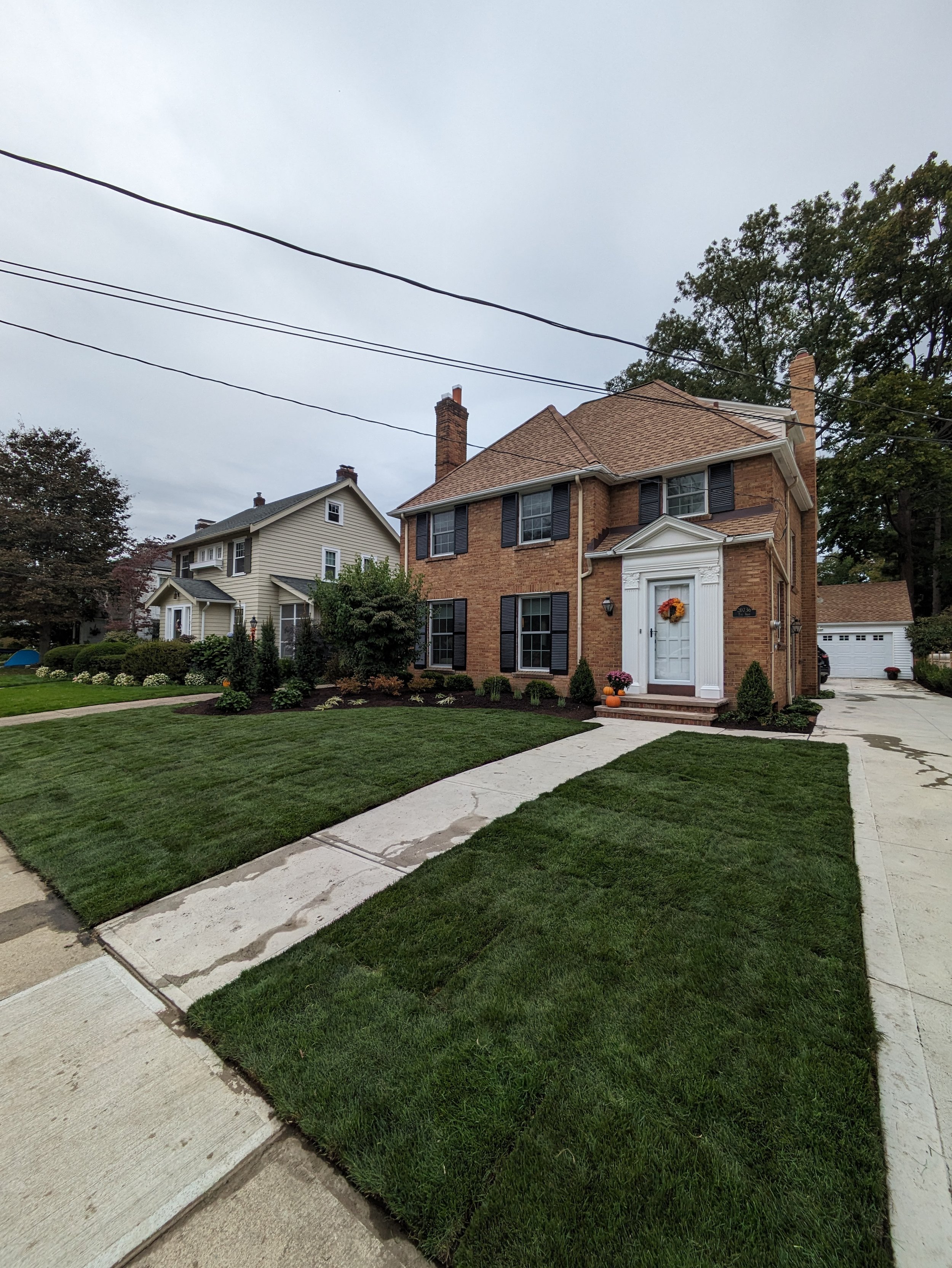 New landscaping and sod installation