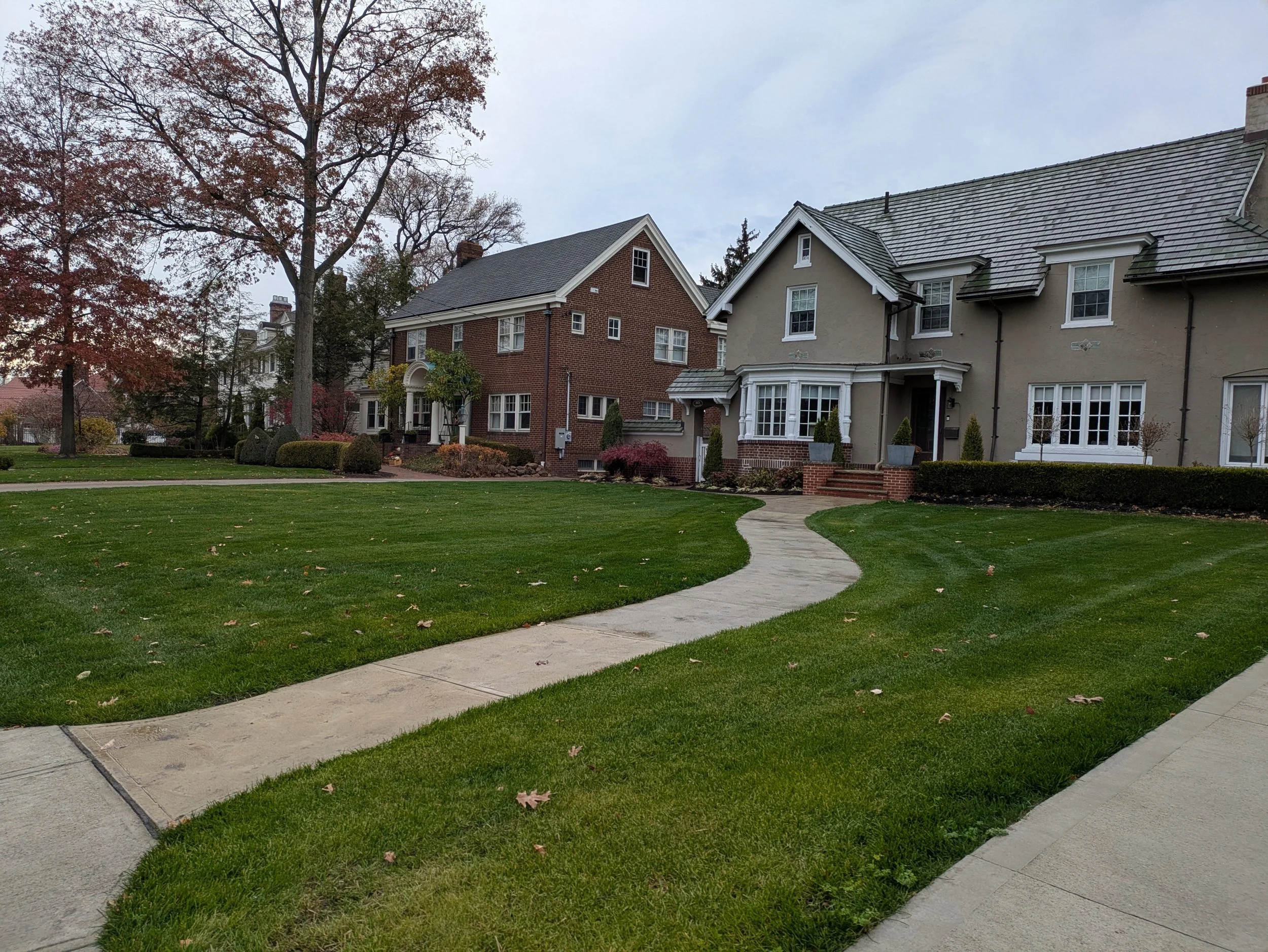 After- Lawn renovation and reseeding