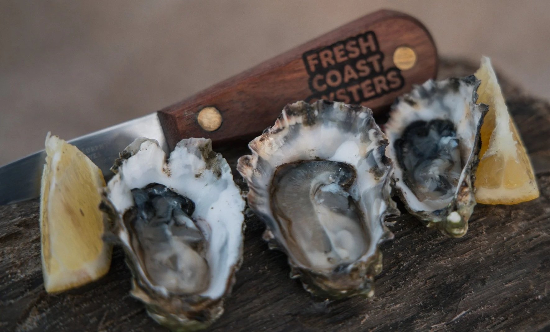 Three fresh oysters on a wooden surface, with lemon wedges and a small wooden tool labeled 'Fresh Coast Oysters' in the background.