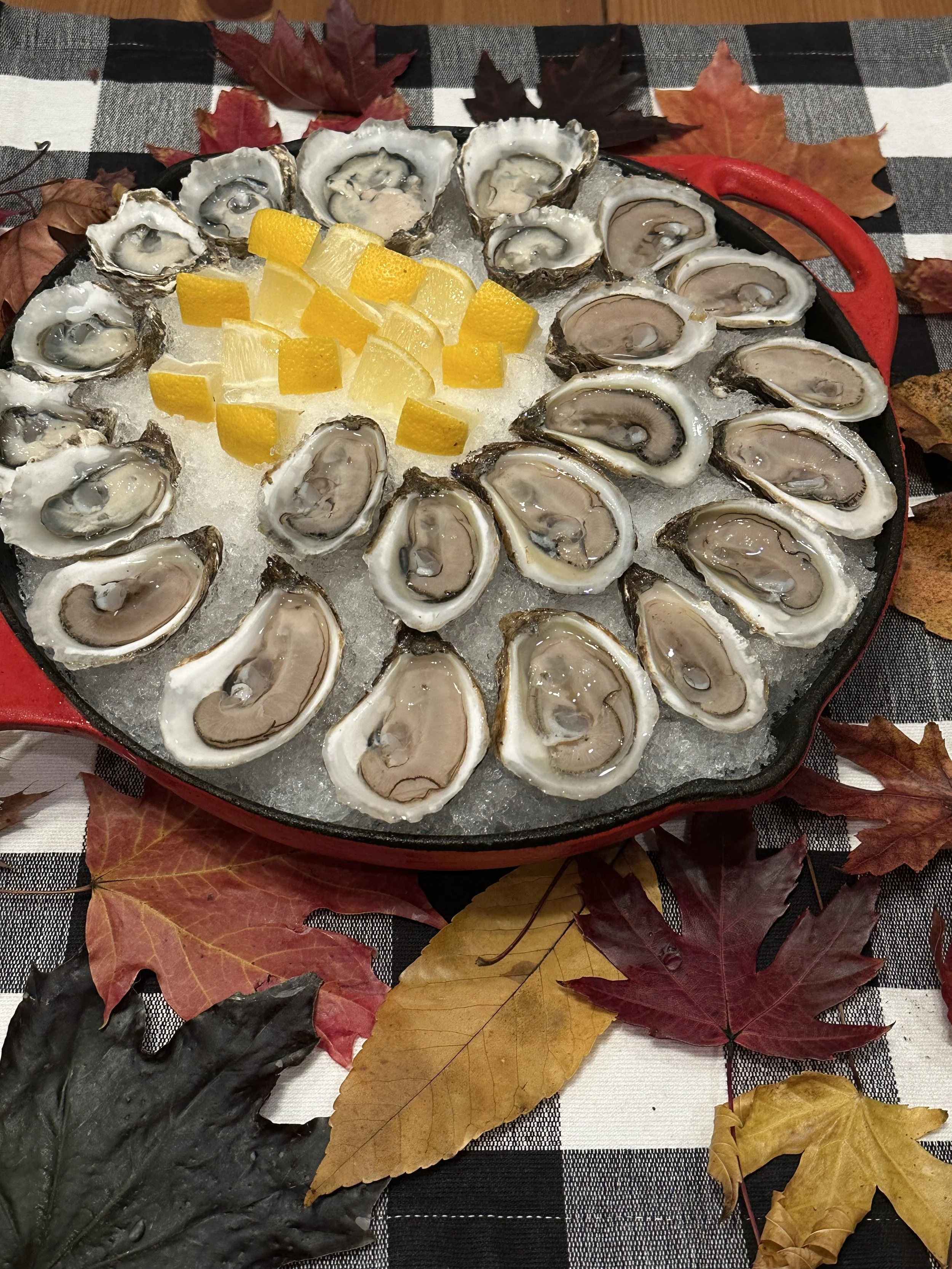 A round black tray filled with ice and fresh oysters arranged around the edge, with lemon wedges in the center. The tray is on a checkered tablecloth with autumn leaves scattered around.