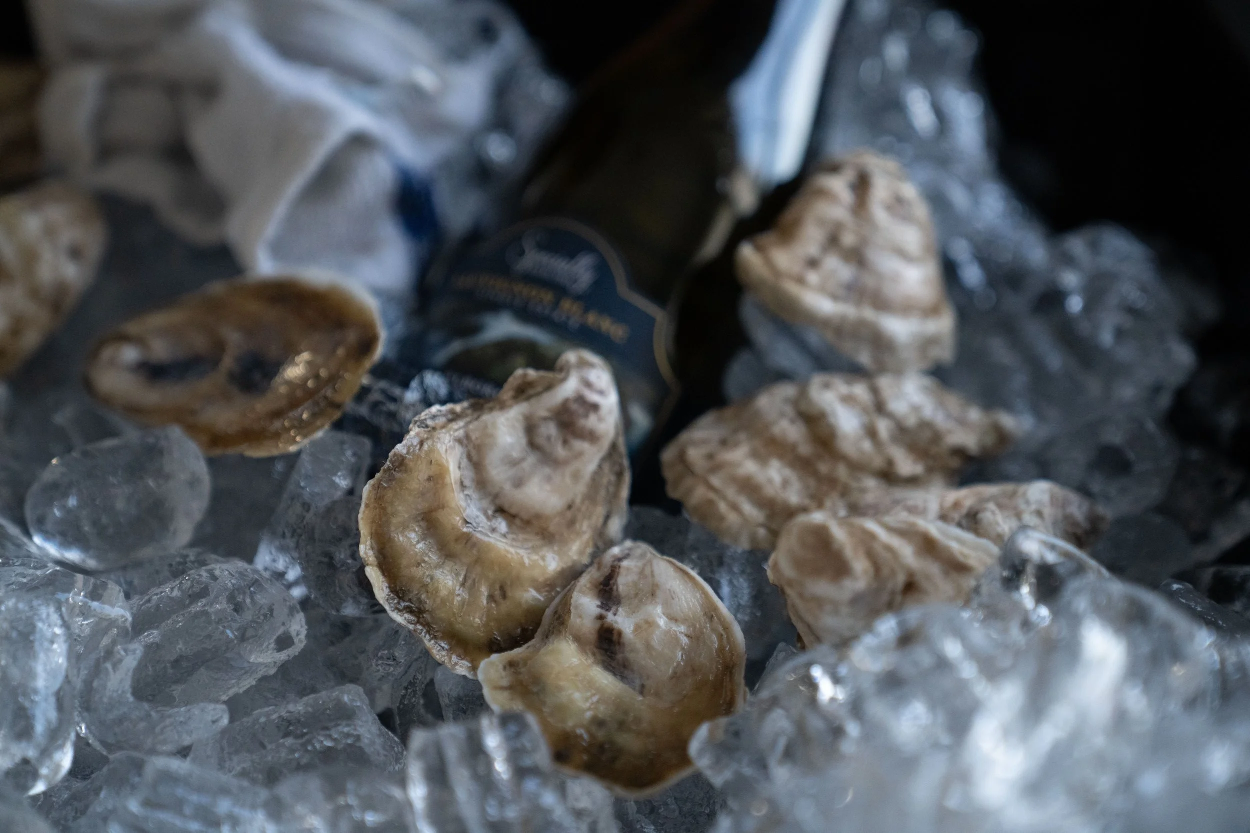 Close-up of several oyster shells and ice cubes on a dark surface.