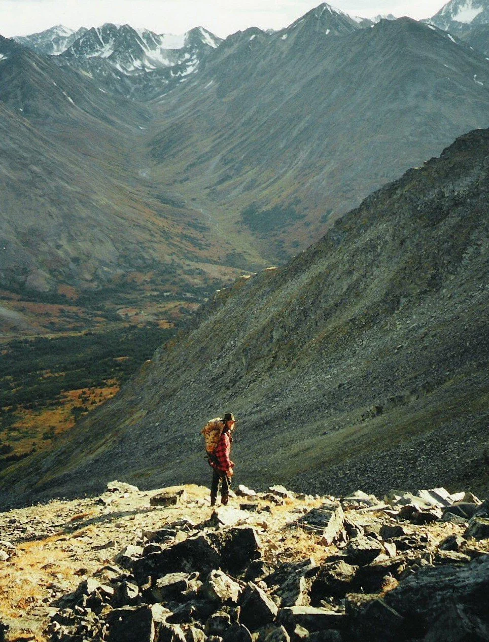 elder zeitgeist expedition scouting