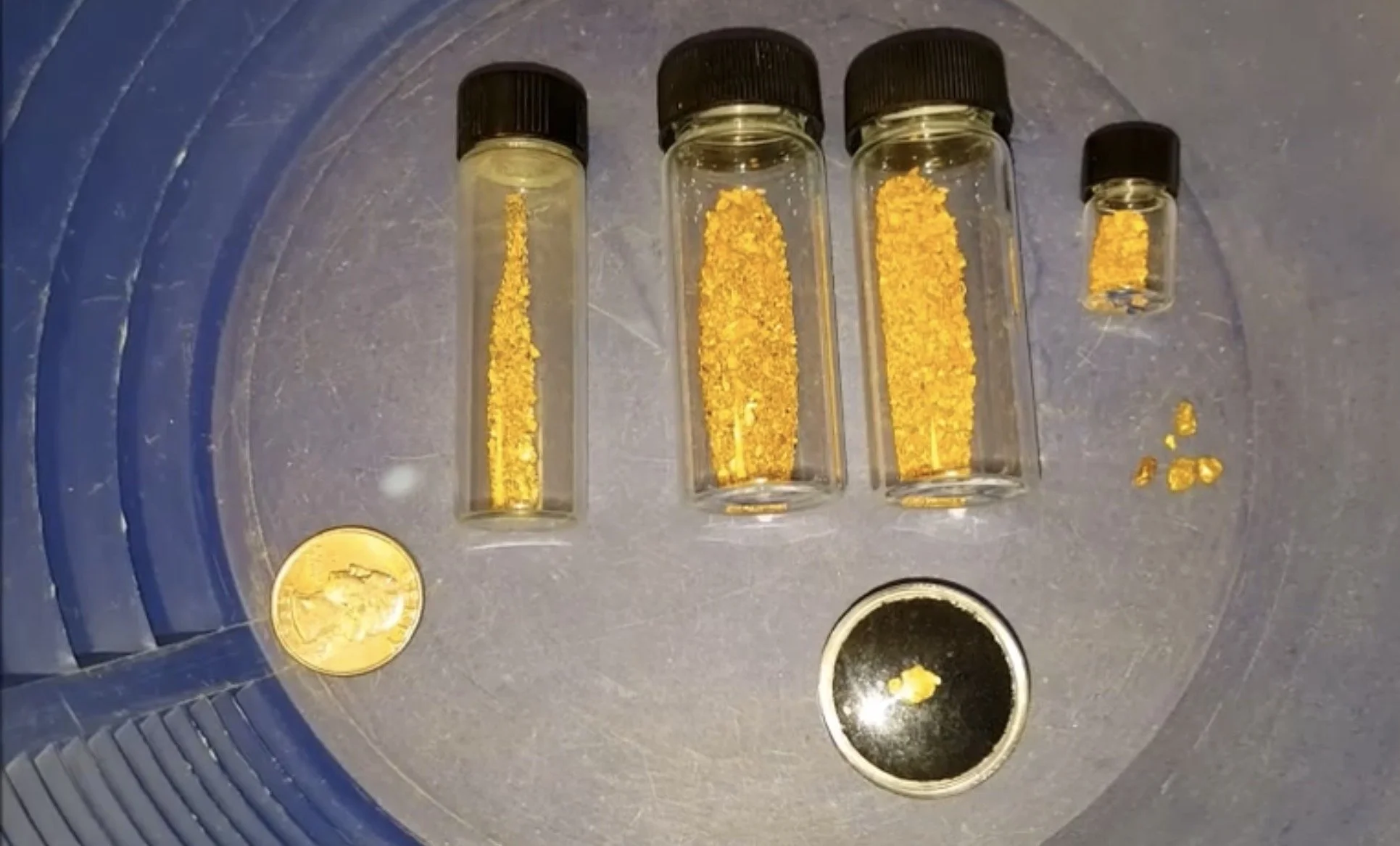 elder zeitgeist expedition 2026 gold flakes