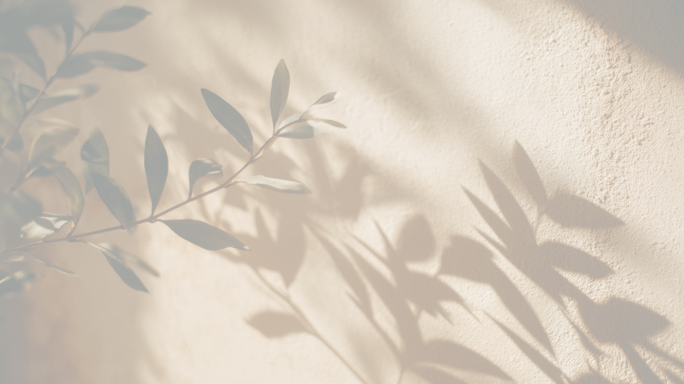 Close-up of a branch with leaves casting shadows on a textured wall, with soft natural lighting.