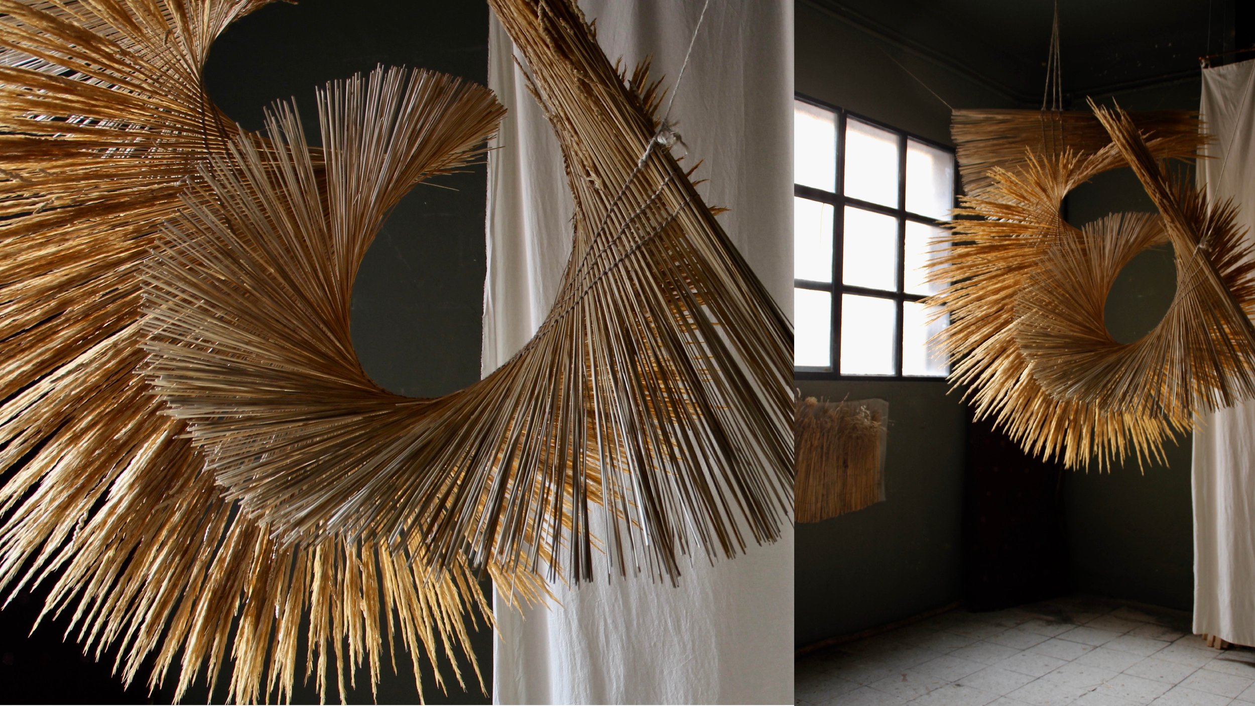 Ana Belen Rodriguez Page 20.jpg