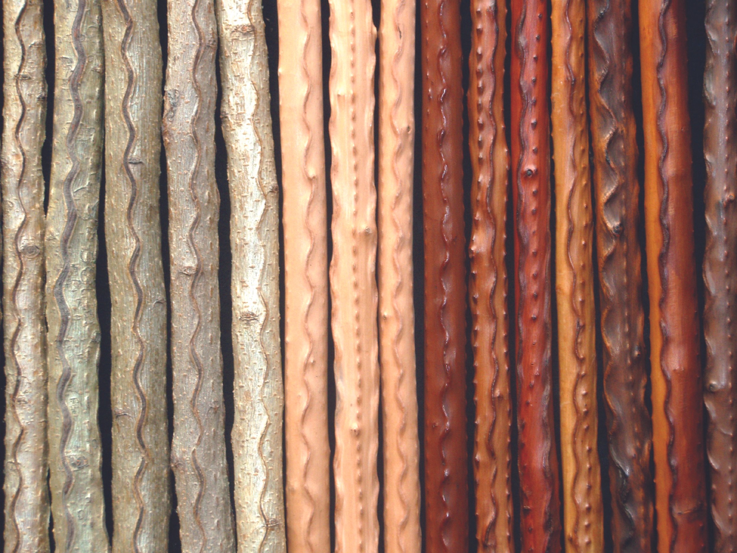 ramas de nispero marcadas.jpeg