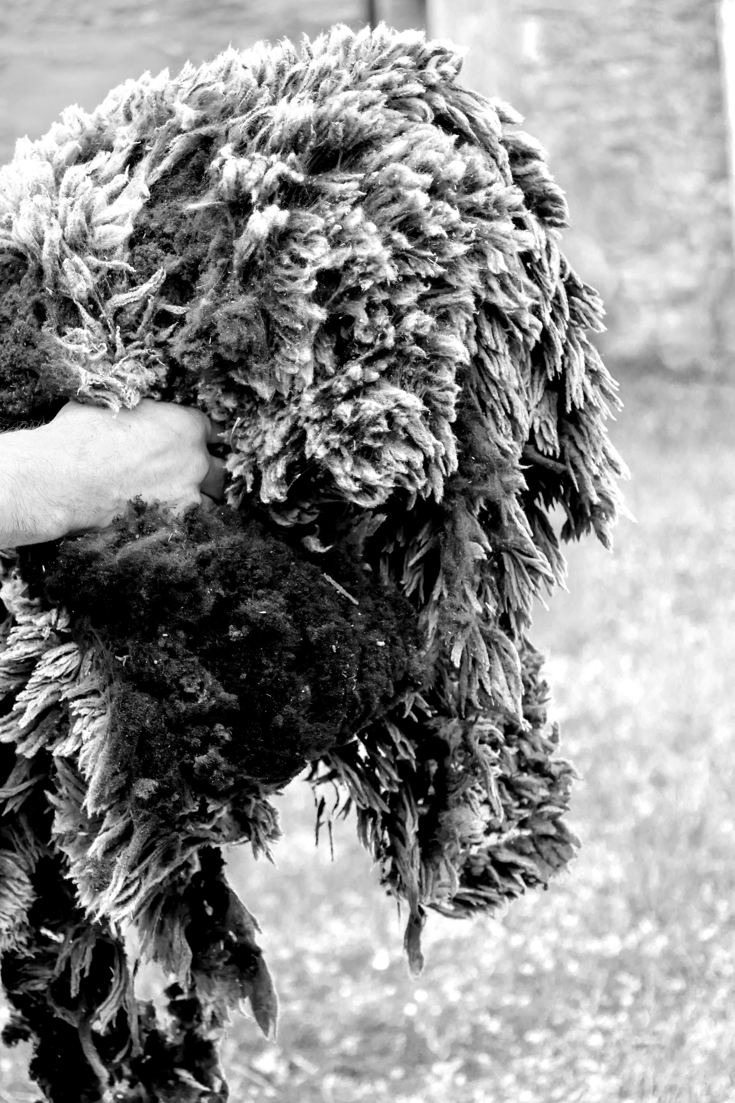 097A1281bn copia.jpg