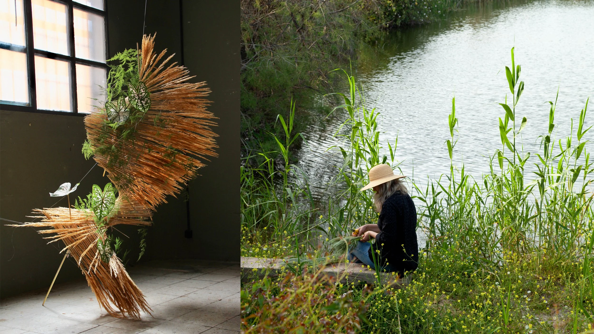 Ana Belen Rodriguez Page 4 without words.jpg