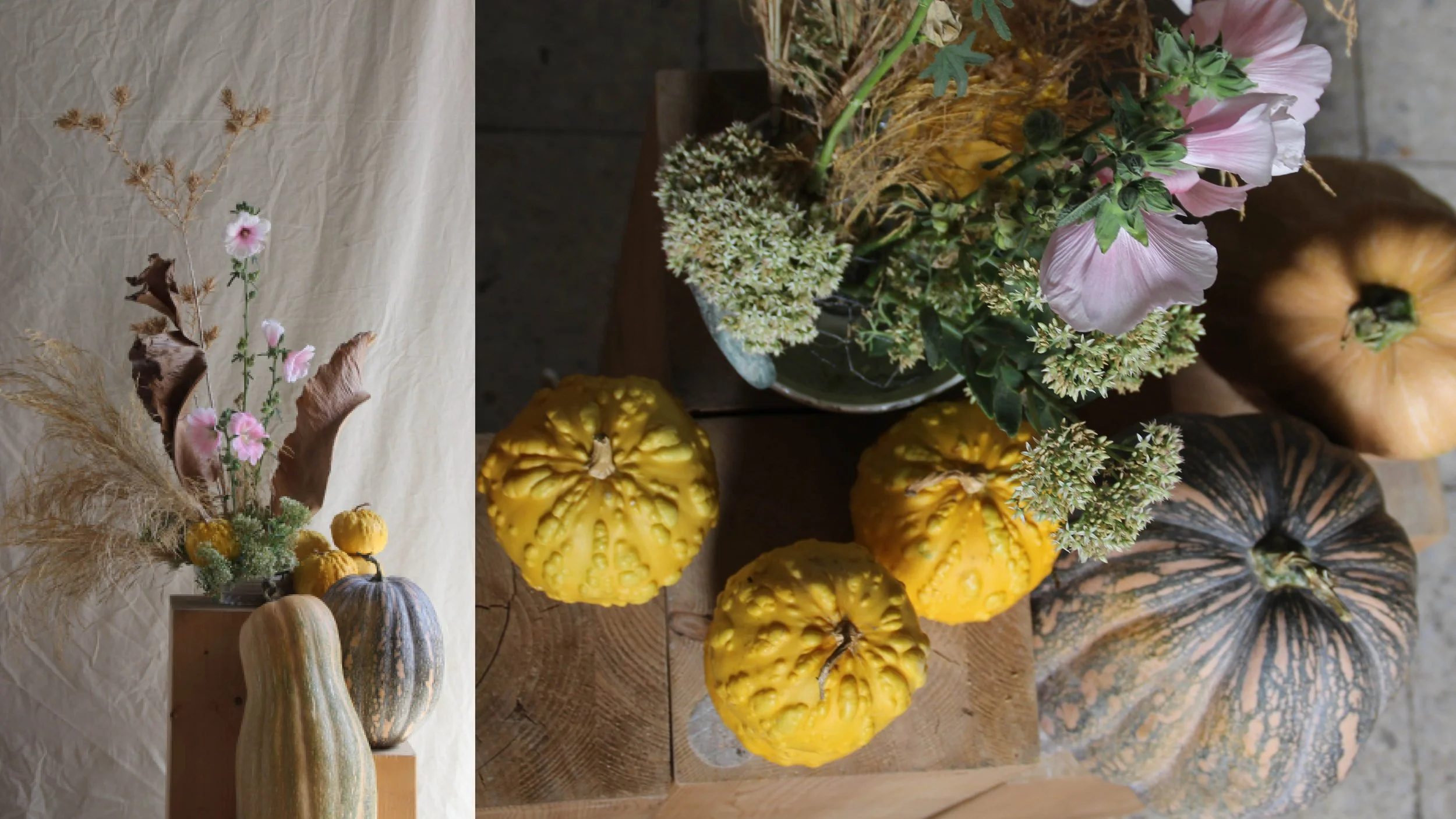 Ana Belen Rodriguez Page 6 without words.jpg