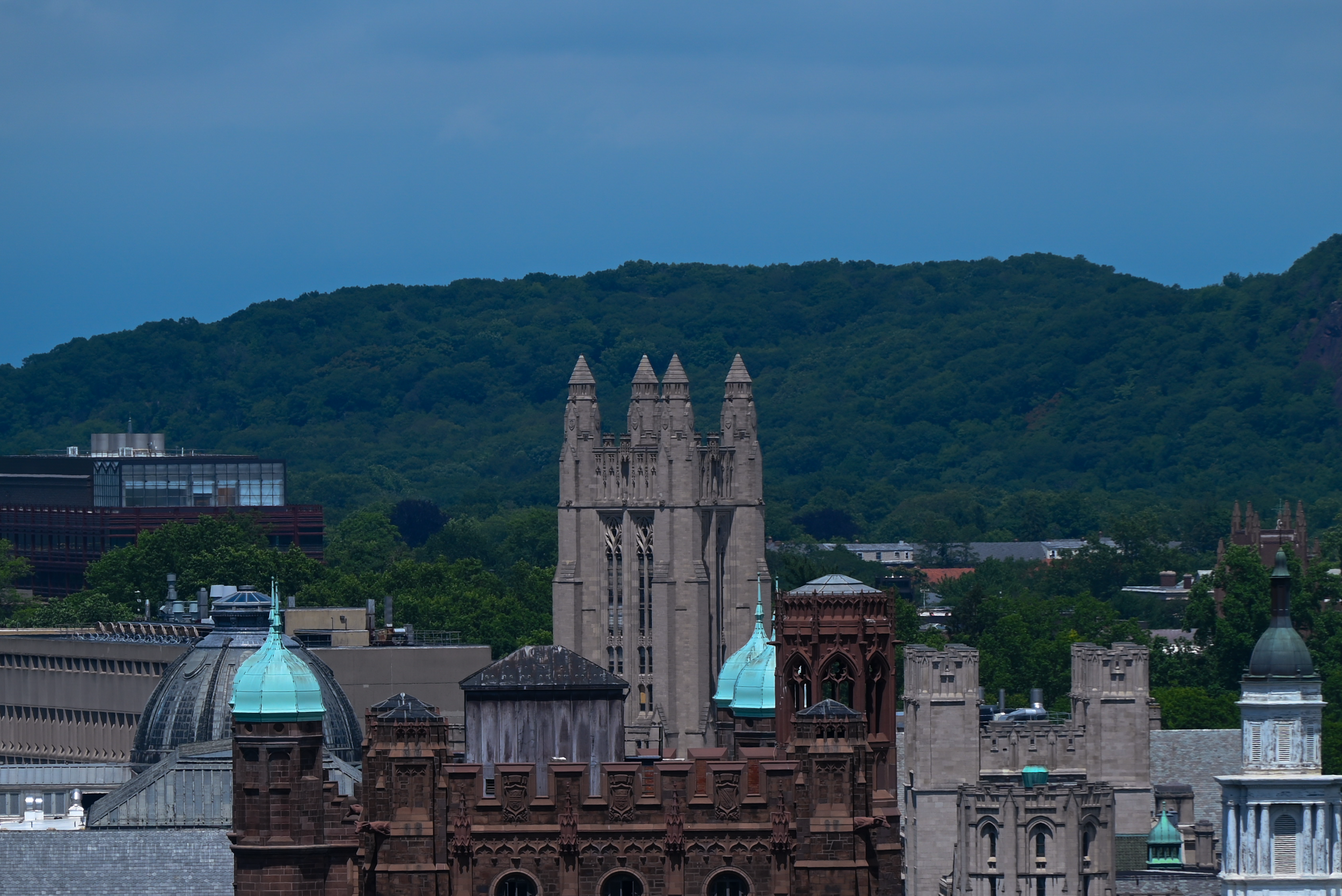 Cityscape with historic buildings and green hills in the background under a cloudy sky.