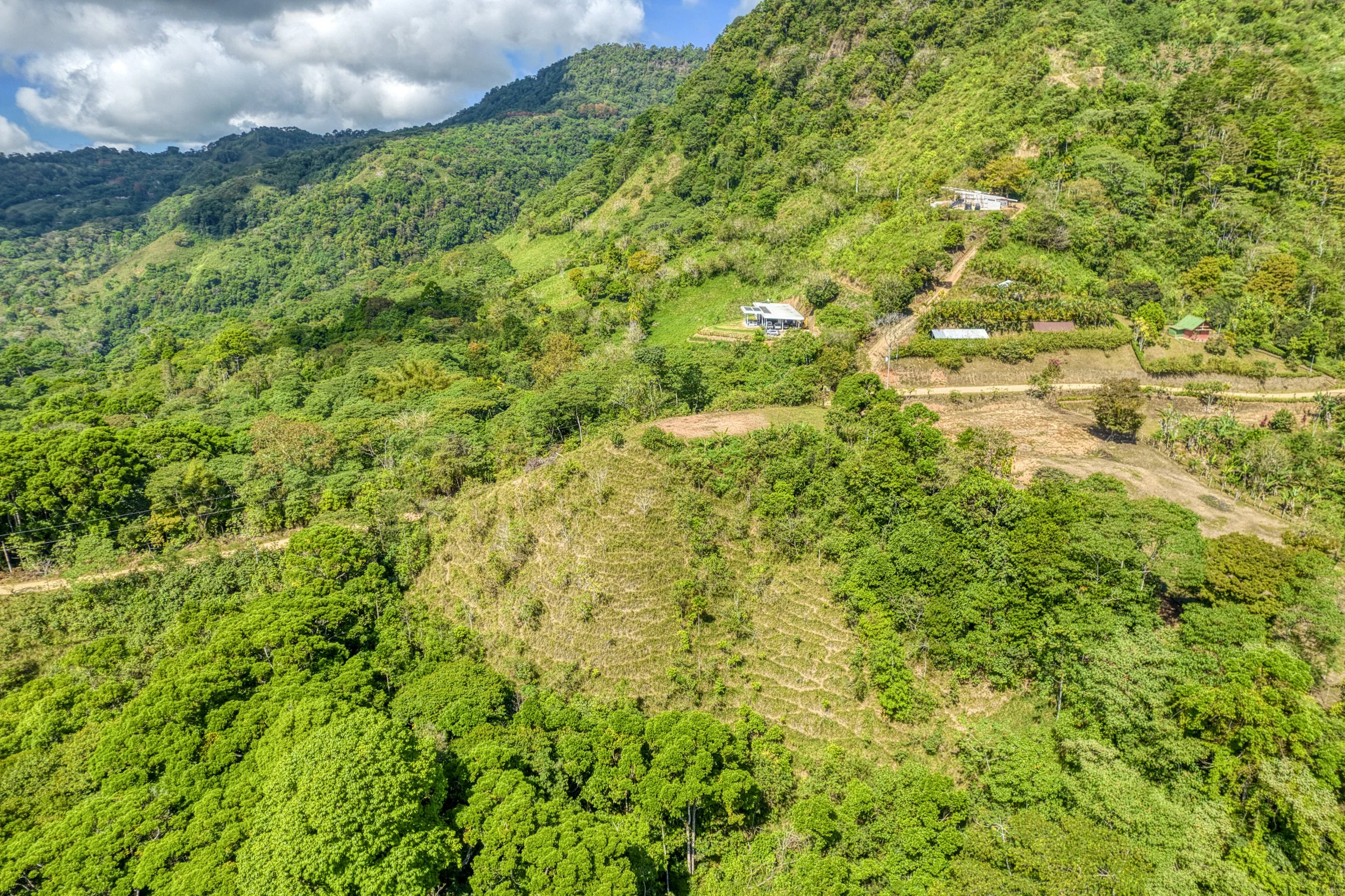 Semi-cleared areas on build-ready land near Uvita Costa Rica