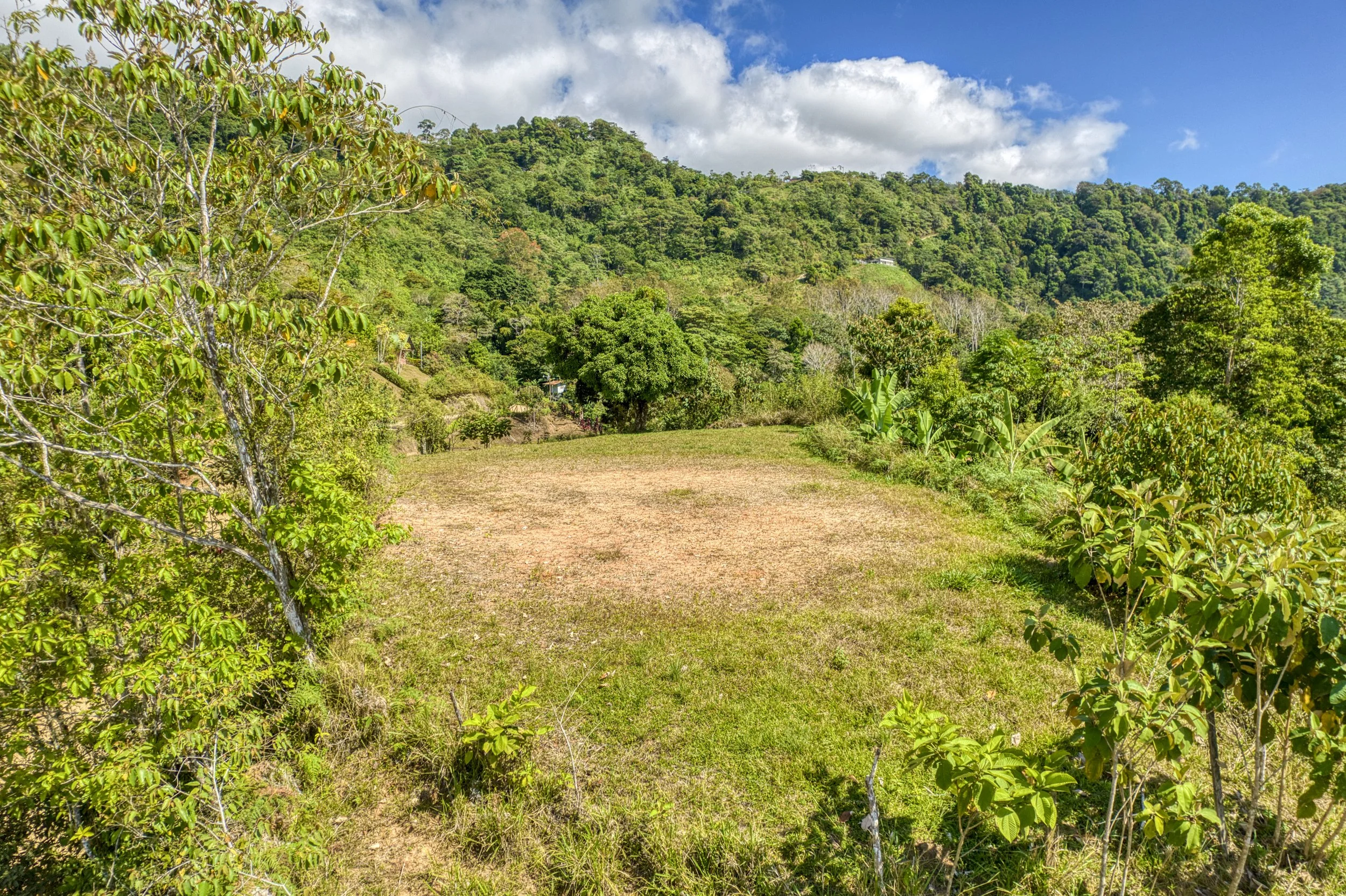 Primary cleared building site surrounded by lush tropical landscape in Costa Rica’s Southern Pacific Zone